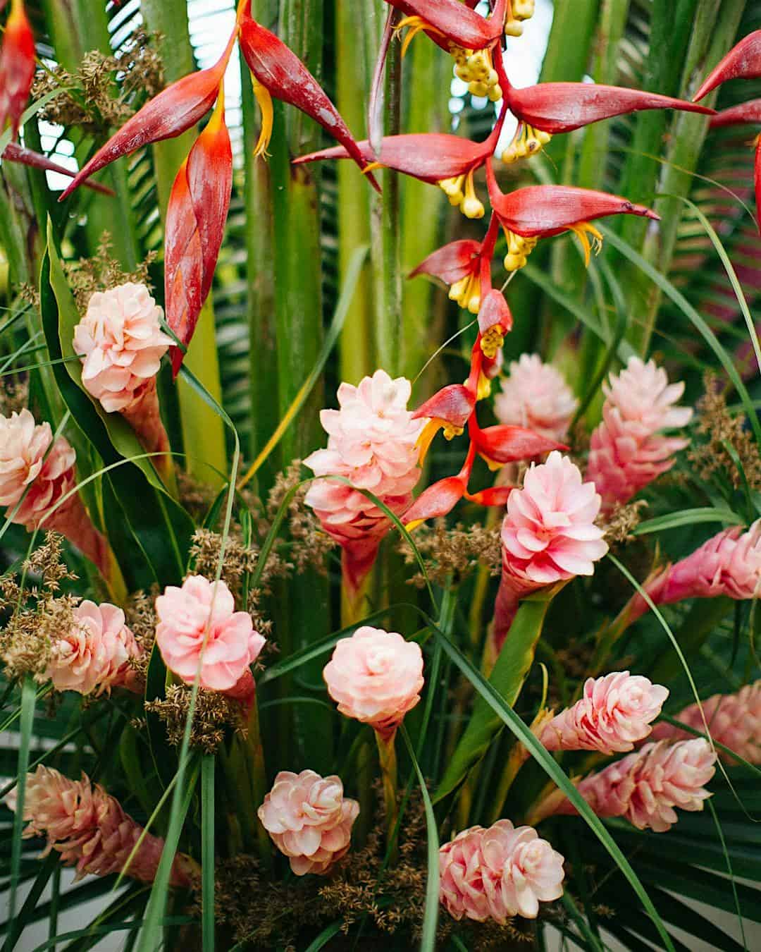 Noenoe Mākeke: Motherʻs Day at Ala Kukui Hana Retreat – Hana, HI