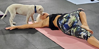 Doggy Noses & Yoga Poses at Sculpt Fitness at Sculpt Fitness – Kenilworth, NJ