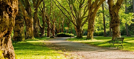 Qigong in the Park at Crescent Park – East Providence, RI