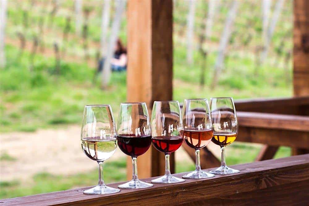 Wine Down: A Tasting Experience with Michael Bottigliero at The War Memorial – Grosse Pointe Farms, MI