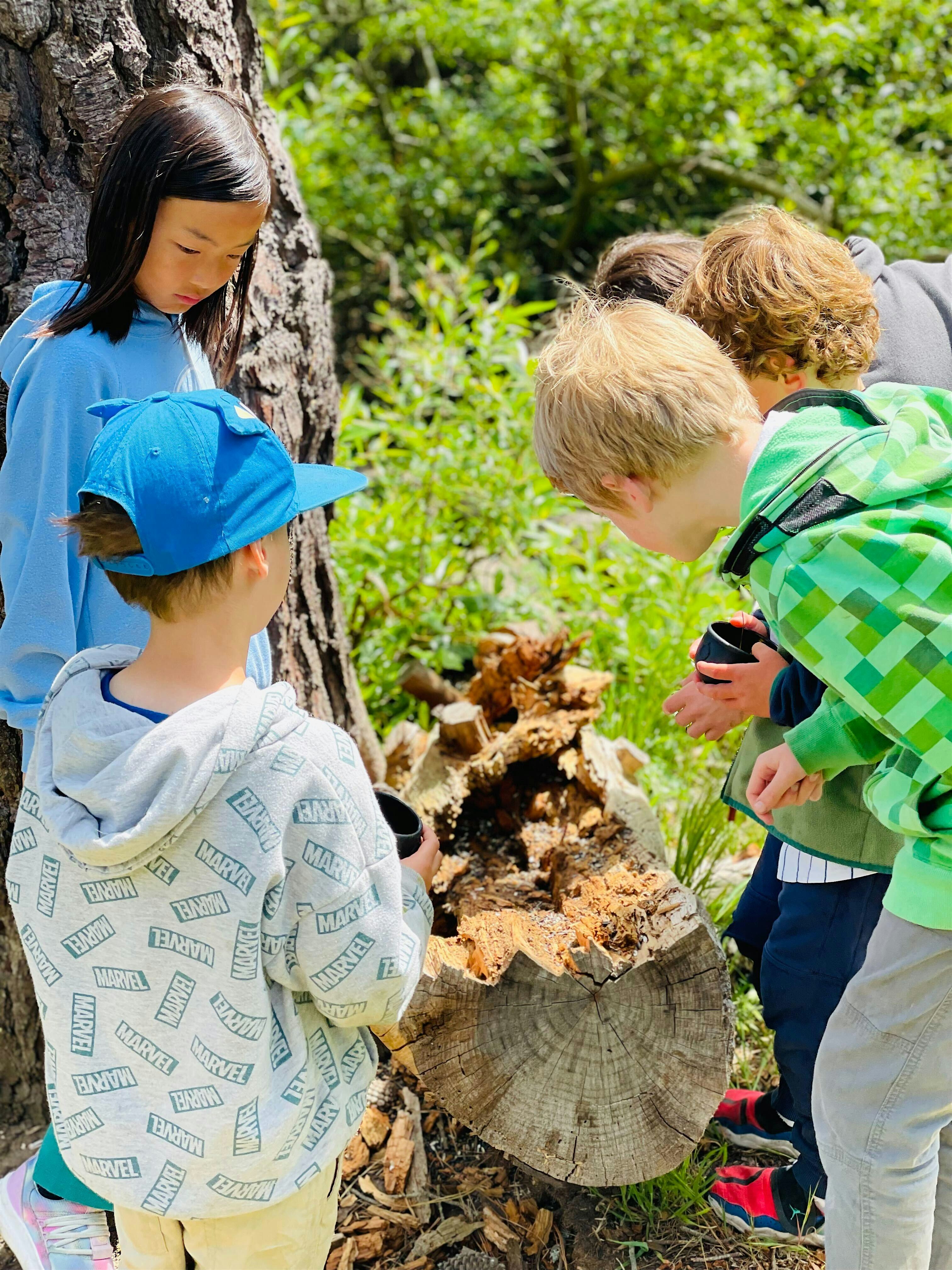 Summer Camp Sneak Peek Activities – Community Playdate! at Maker Studio Kids – San Francisco, CA