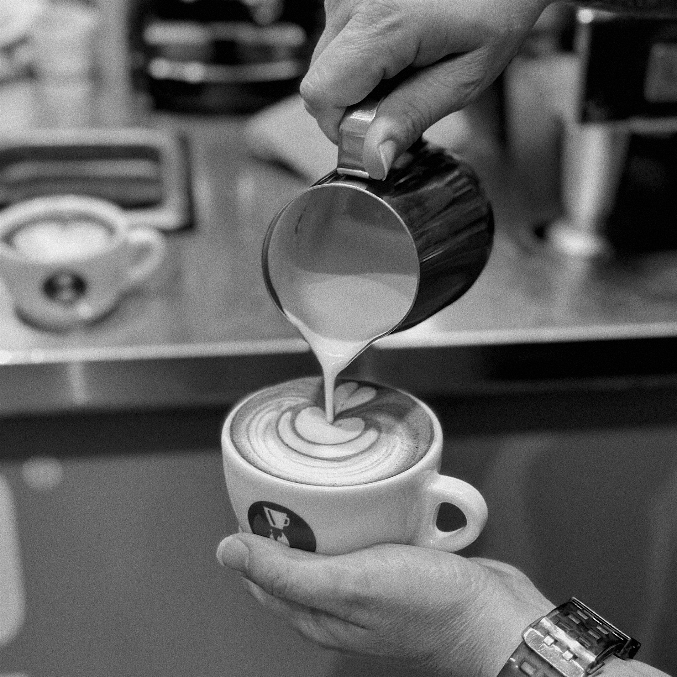 Milk Steaming & Latte Art Basics at Novo Coffee (Roastery + Supply) – Denver, CO