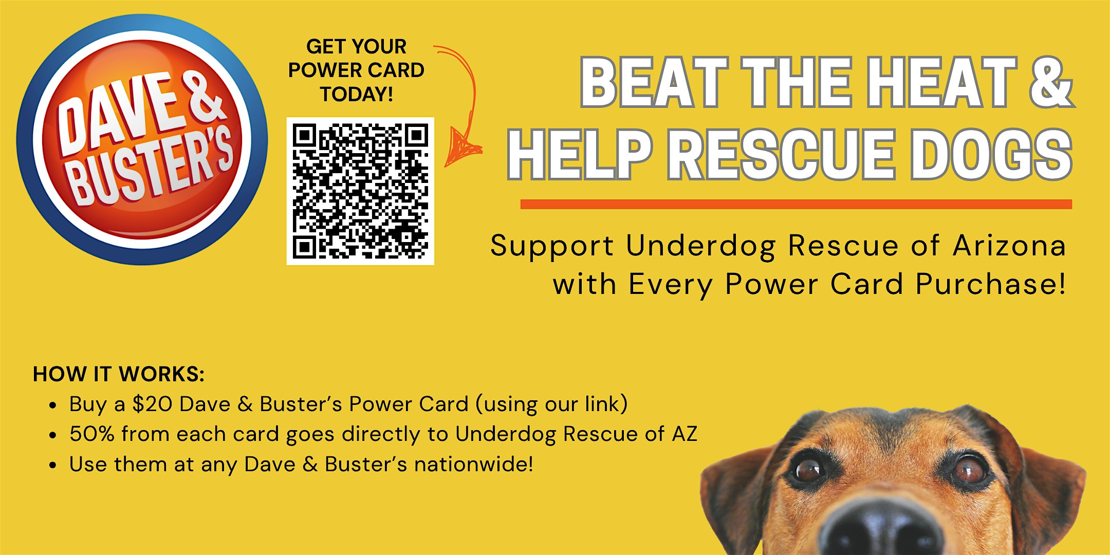 This Summer Only: Grab a Dave & Busterâs Power Card & Support Local Rescue at Dave & Buster’s Tempe – Tempe, AZ