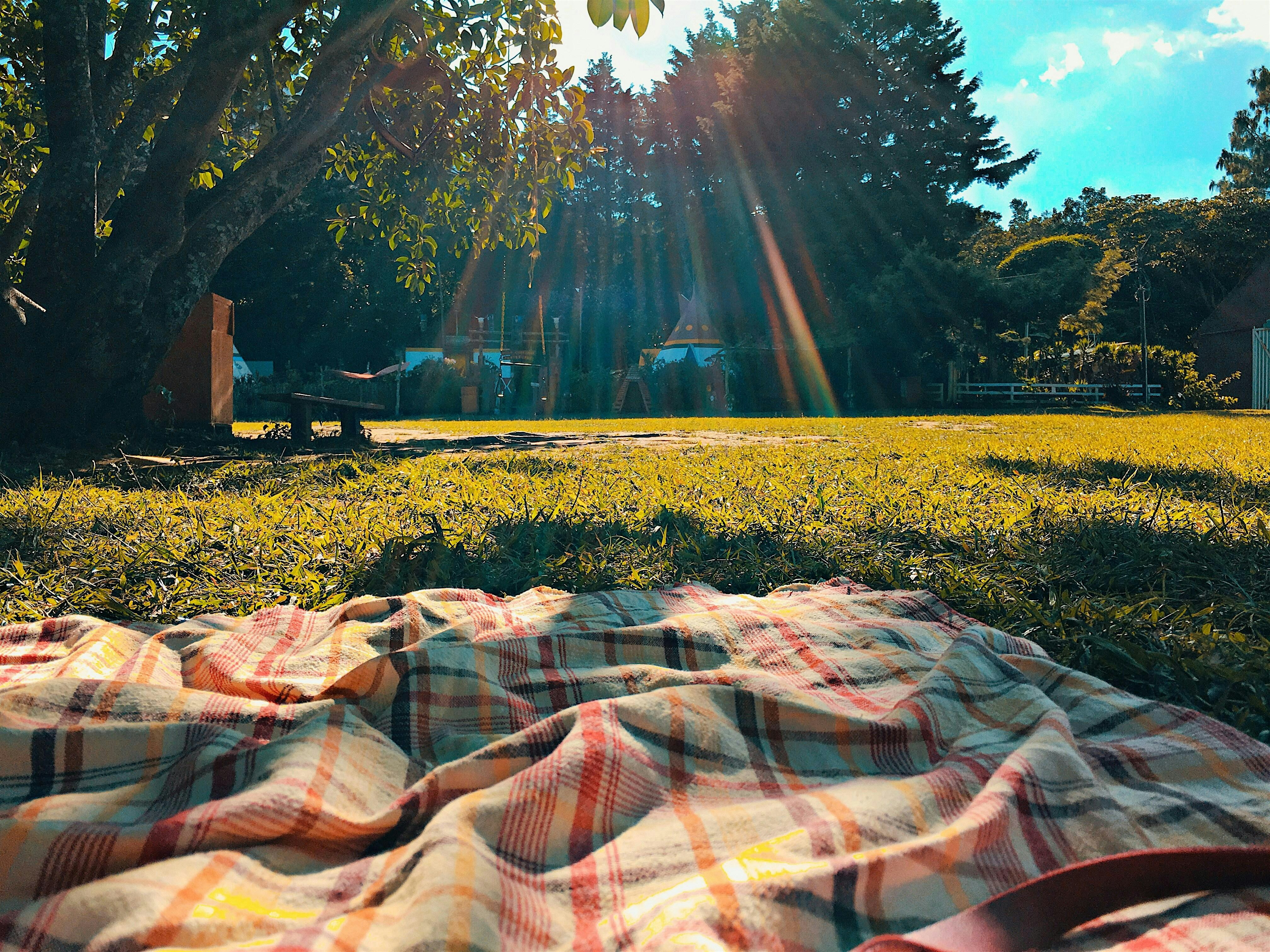 Los Angeles Polyamory Picnic in La Mirada at La Mirada Community Regional Park – La Mirada, CA