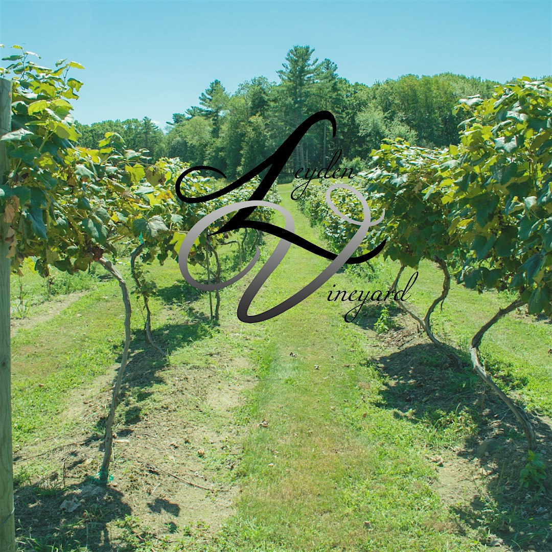 Leyden Vineyard’s Wine Tasting – Spring & Summer 2025 at Leyden Farm Vineyard & Winery – West Greenwich, RI