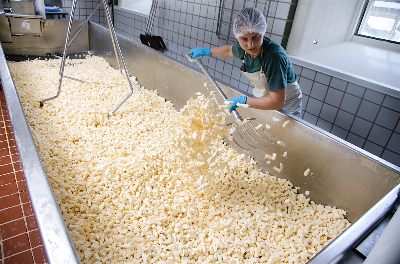 Sun to Cheese Tour 2025 at Shelburne Farms Welcome Center – Shelburne, VT
