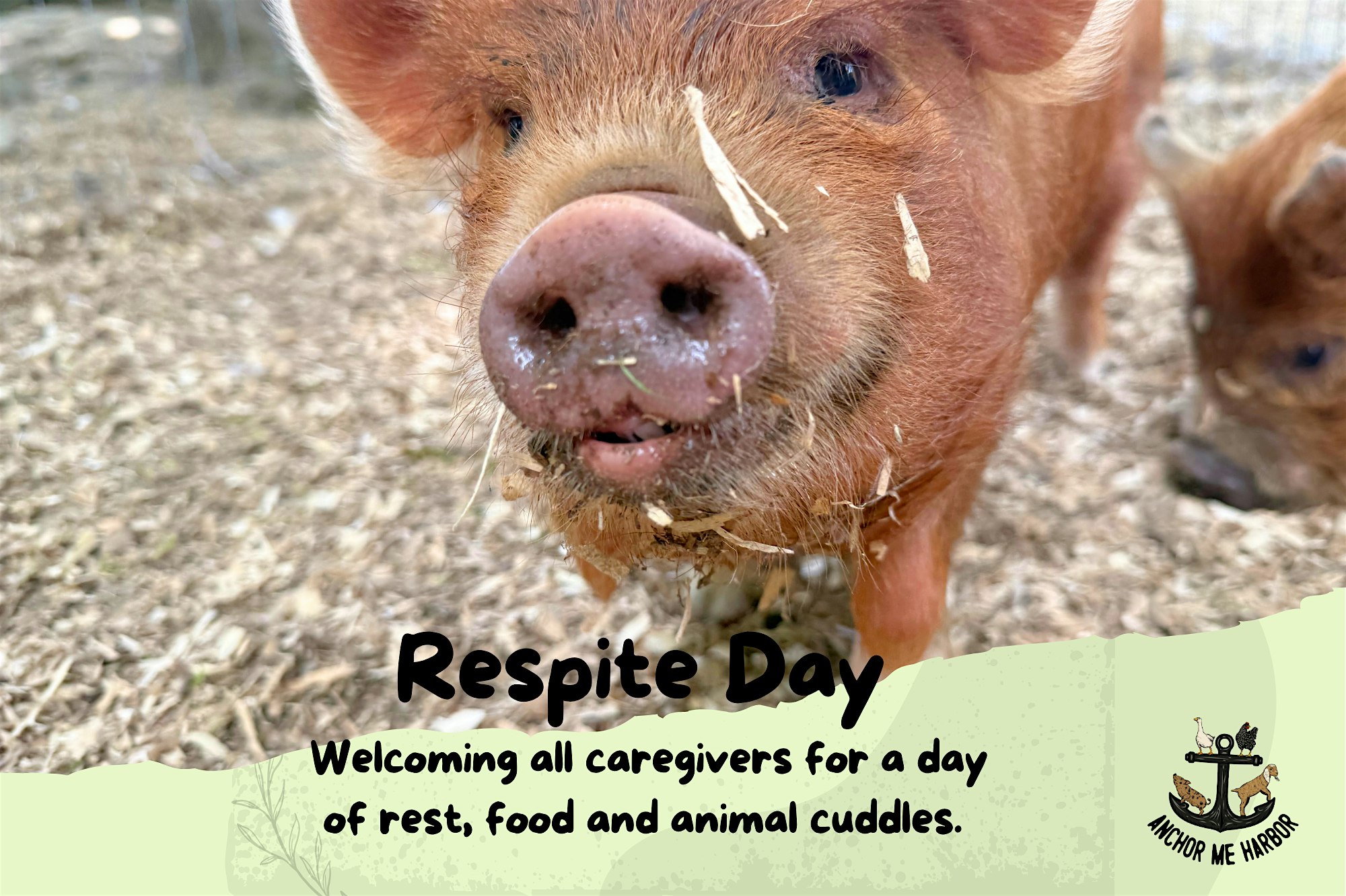 Respite Day at 584 Ridge Rd – Windsor, ME
