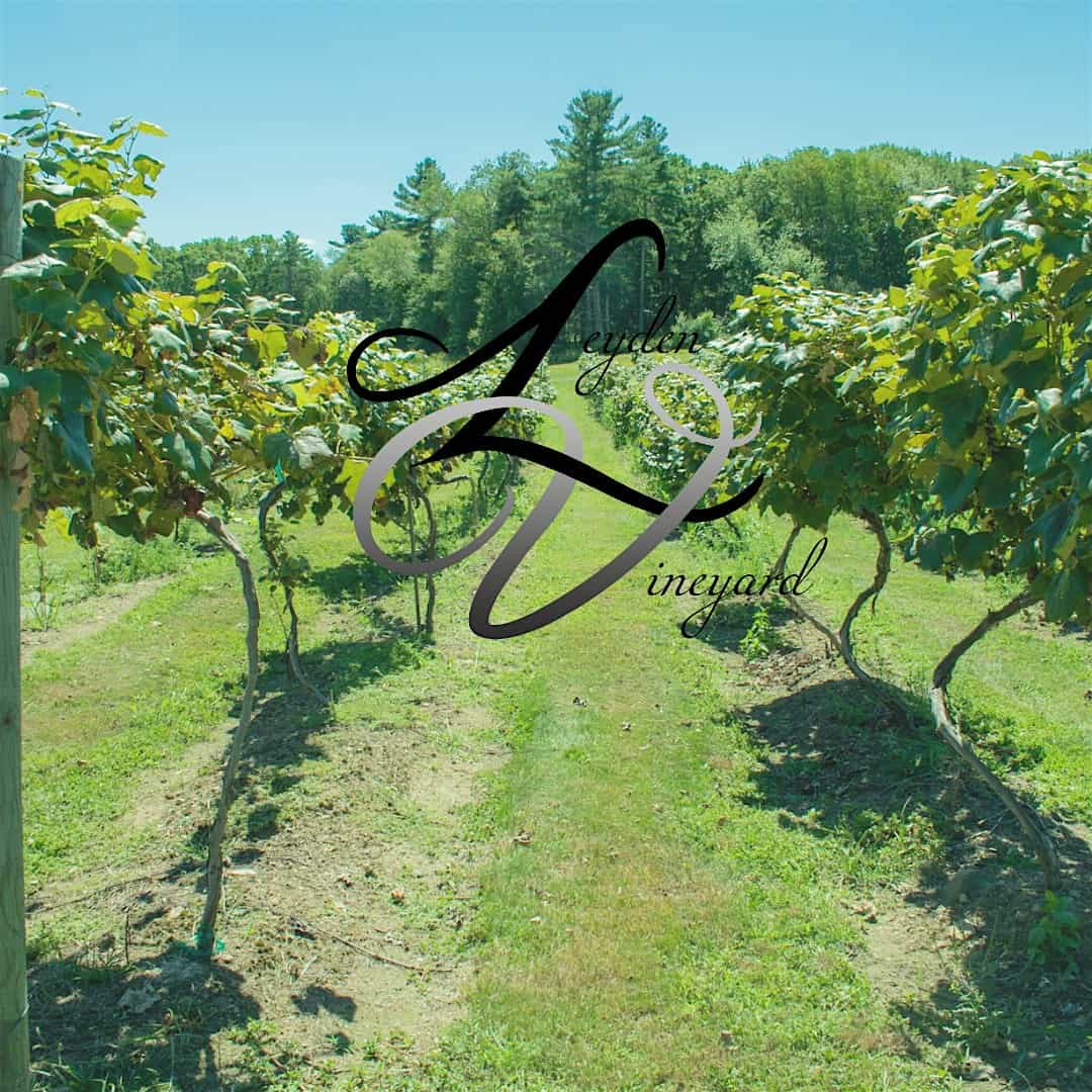 Leyden Vineyard’s Wine Tasting – Spring & Summer 2025 at Leyden Farm Vineyard & Winery – West Greenwich, RI