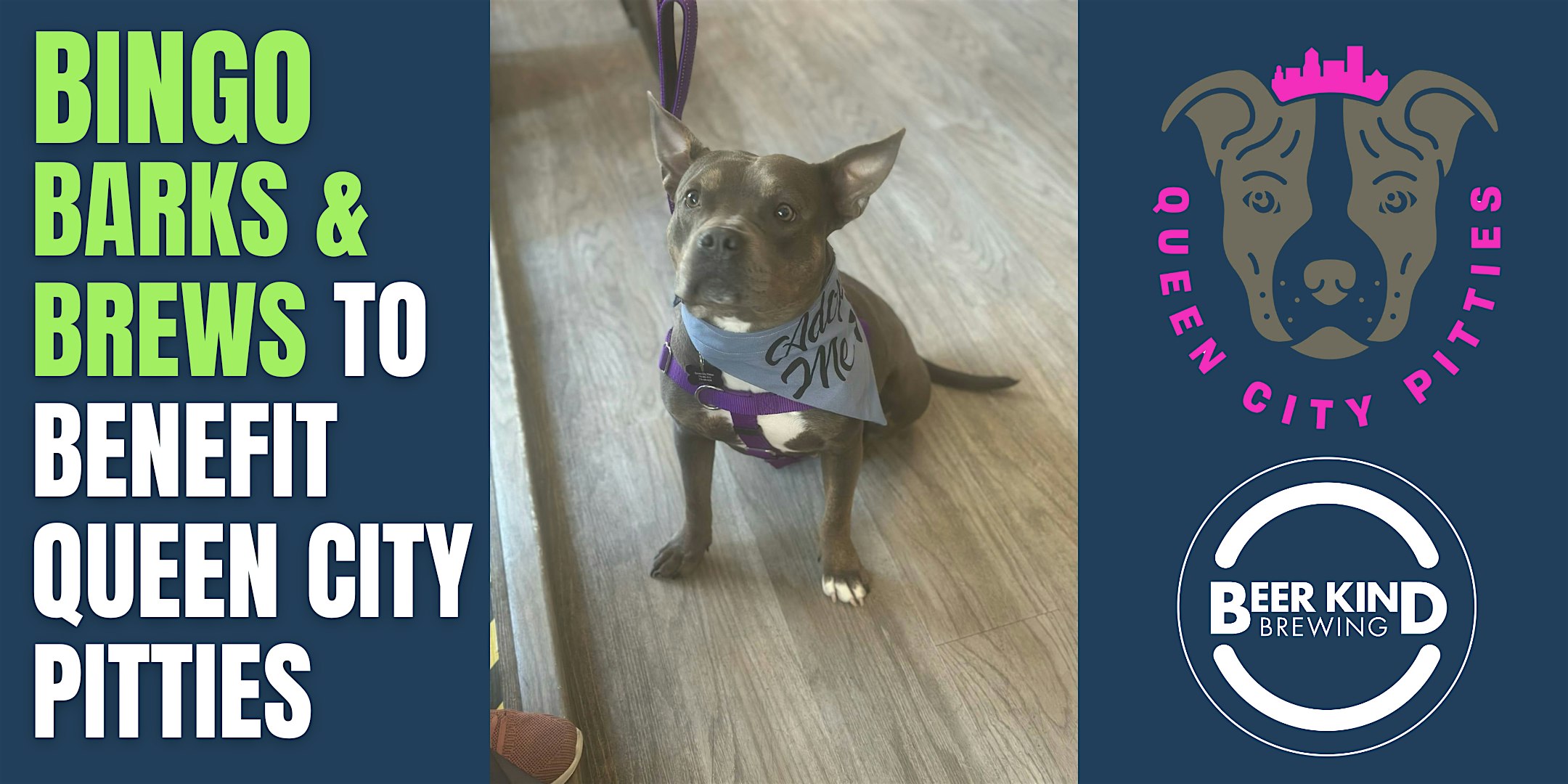Queen City Pitties: Bingo, Barks & Brews at Beer Kind Brewing – Tonawanda, NY