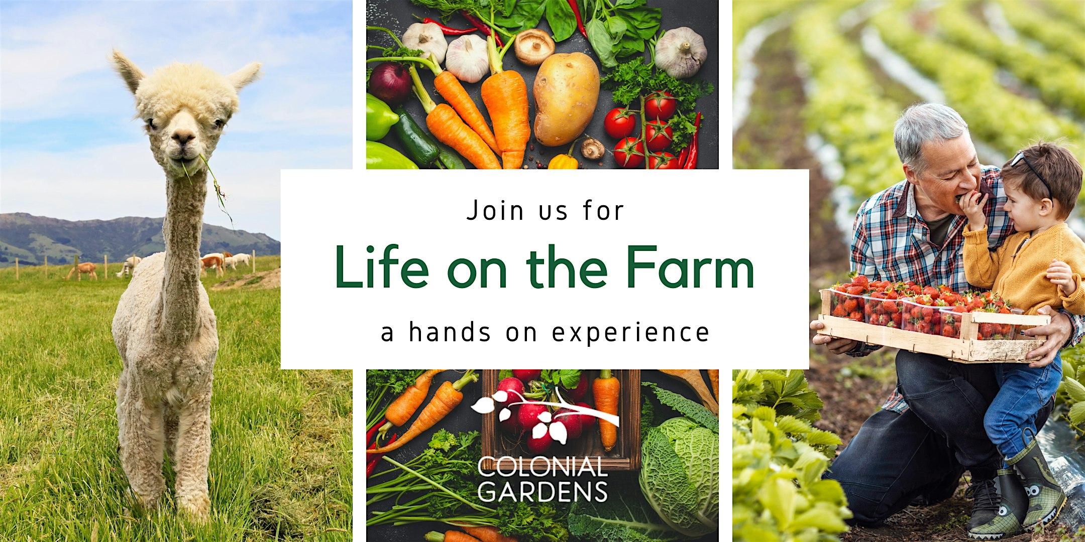 Life on the Farm at Colonial Gardens – Blue Springs, MO