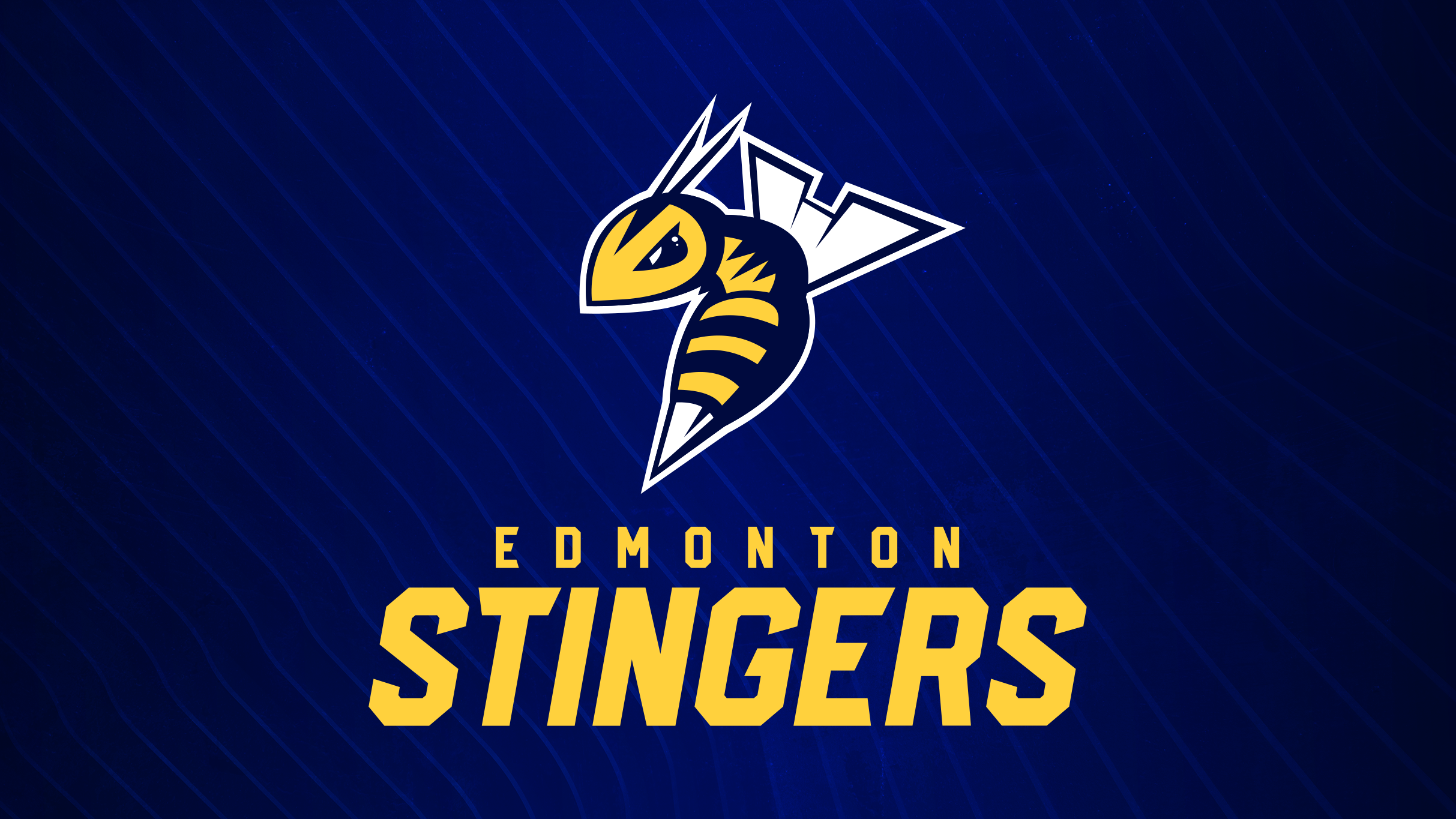 Edmonton Stingers vs. Vancouver Bandits at Edmonton EXPO – Edmonton, Canada