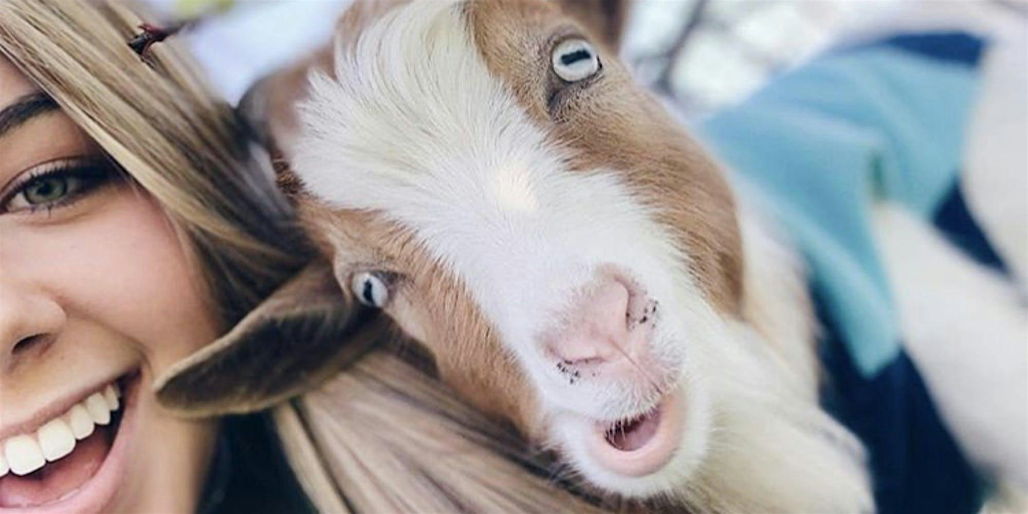 Goat Yoga McKinney @ Tupps! at TUPPS Brewery – McKinney, TX