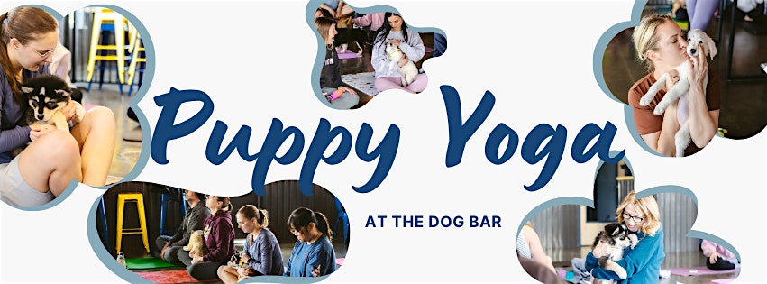 Puppy Yoga to benefit Medical Mutts at 18595 Carousel Ln – Westfield, IN