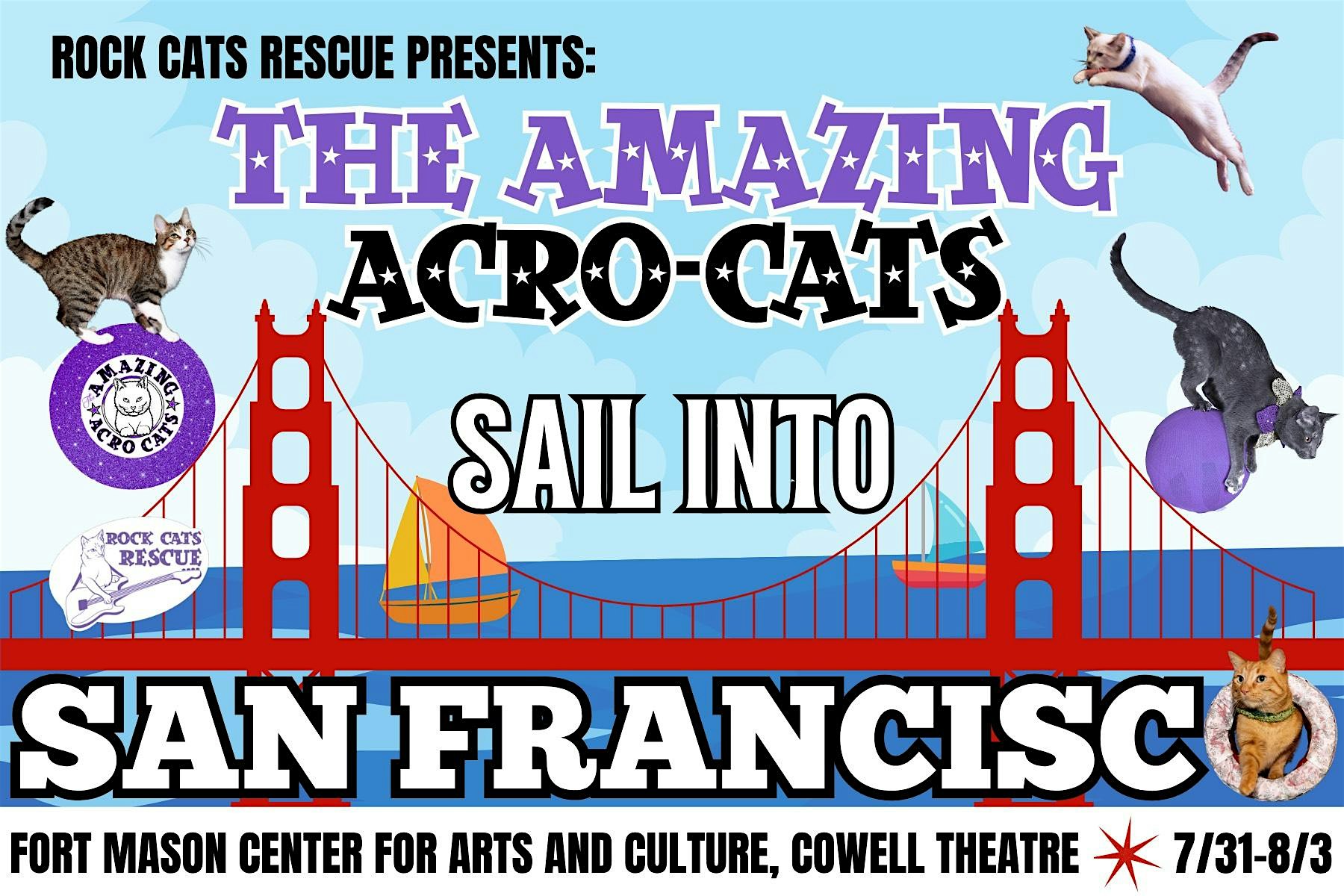 The Amazing Acro-Cats Sail Into San Francisco – Sunday 2PM at The Cowell Theater at Pier 2 – San Francisco, CA