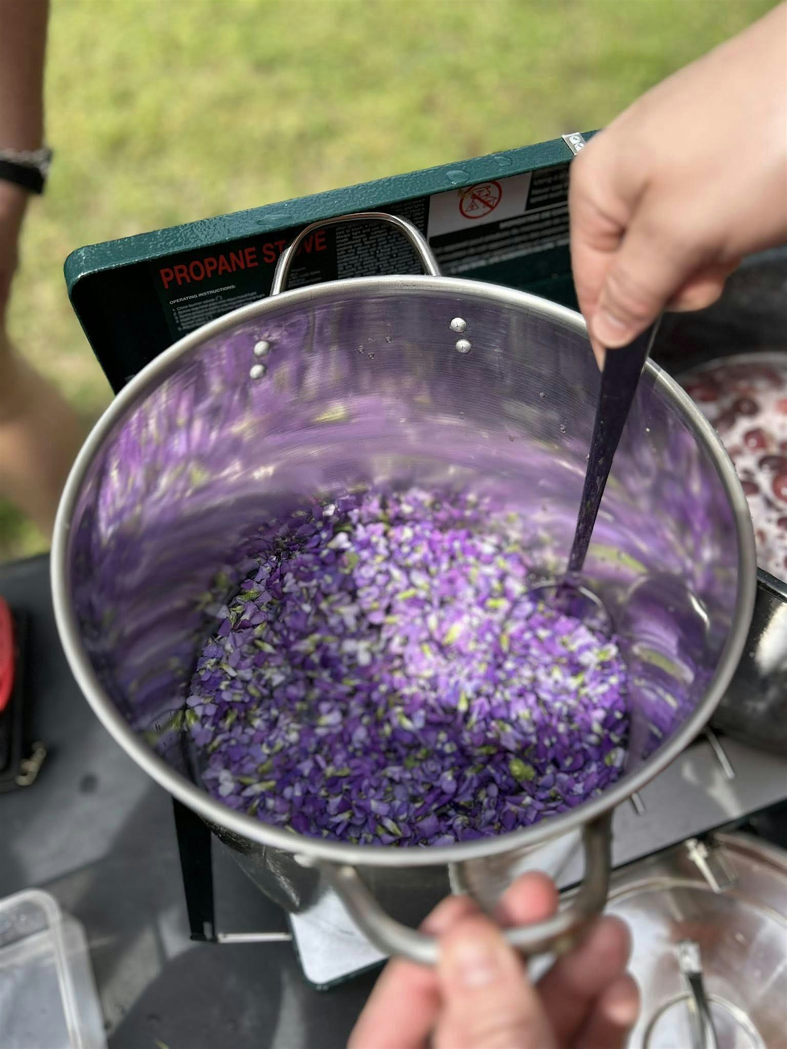 Weekend Wildcrafting Series: Seasonal Skills for Self-Reliance (Wk 1 Sun) at Eno River State Park – Durham, NC