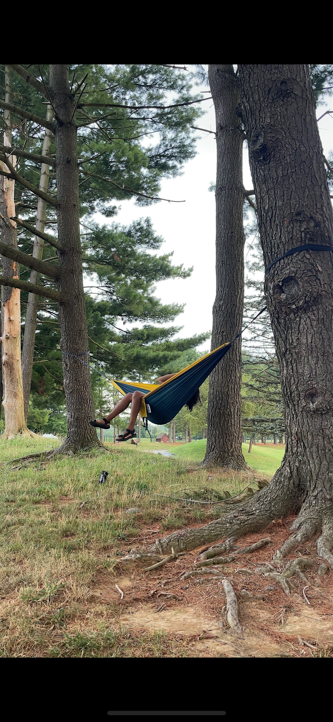 Sunday Grounding Community Hike + Hammock at Delcastle Tennis Center – Wilmington, DE