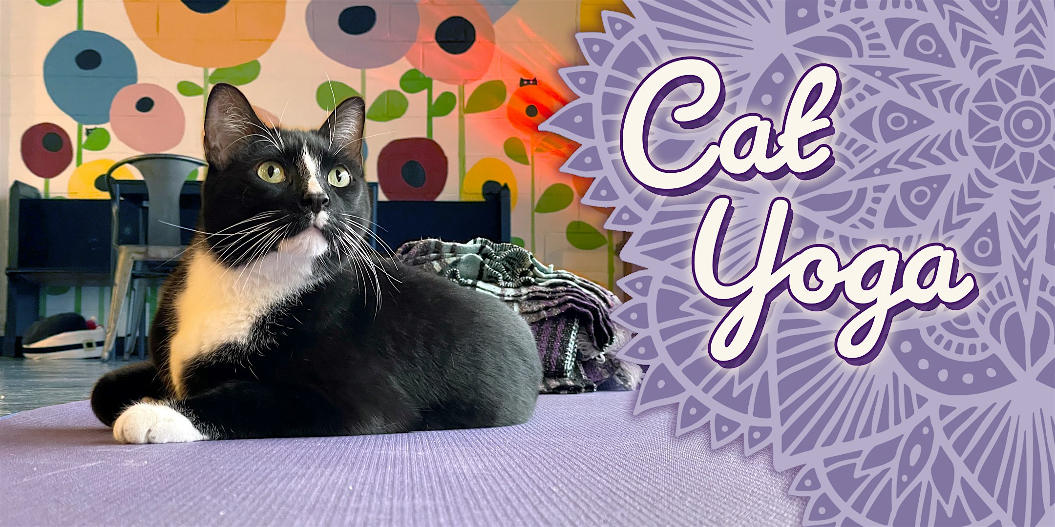 Cat Yoga at Catfé Lounge! at Catfe Lounge – Ferndale, MI