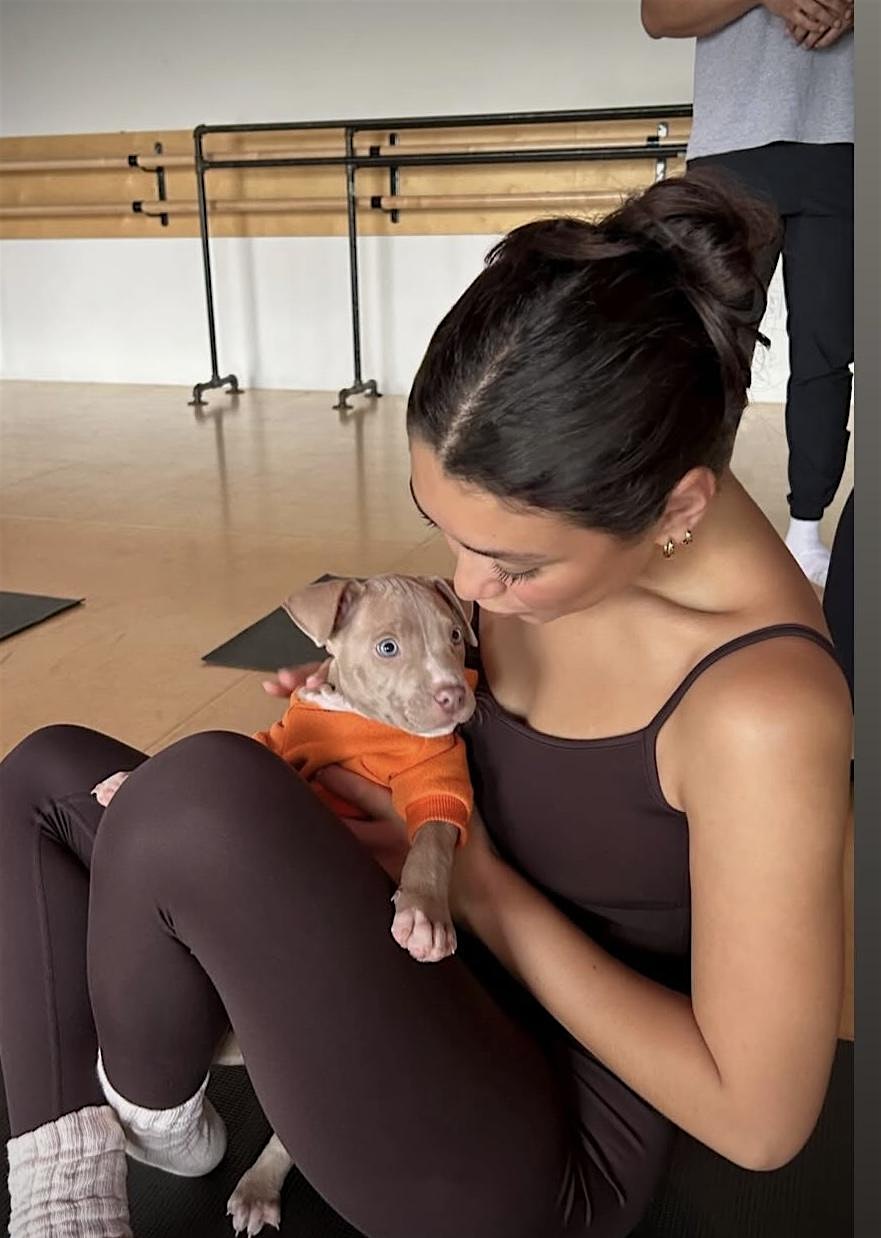 PUPPY YOGA DETROIT at 3155 Bermuda St suite 100 – Ferndale, MI