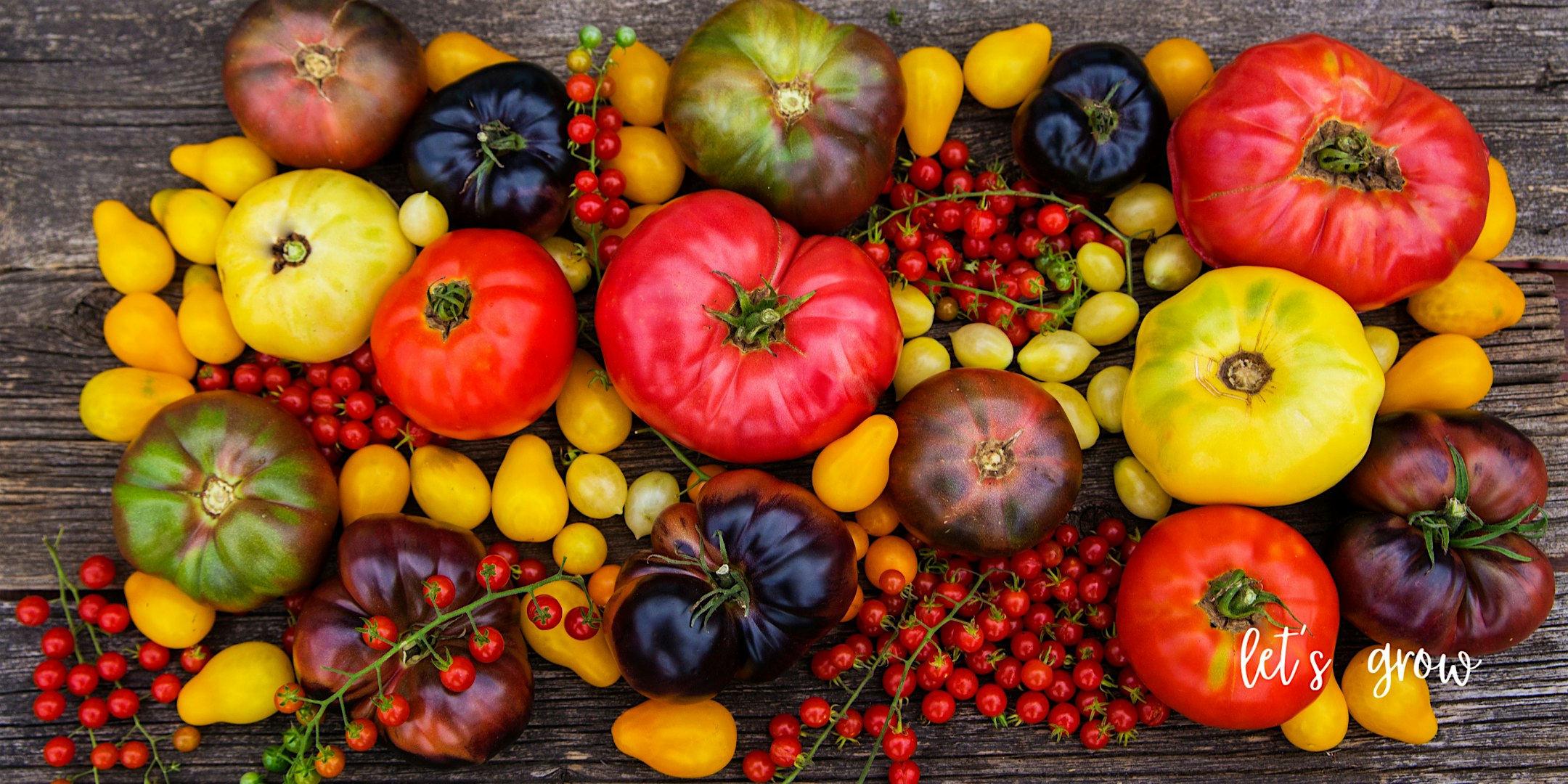 Tomato Tuesdays at Cold Creek Nurseries, Hitchcock Parkway, Aiken, SC, USA – Aiken, SC