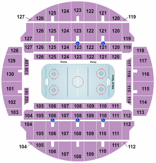 Charlotte Checkers vs. Toronto Marlies at Bojangles Coliseum – Charlotte,
