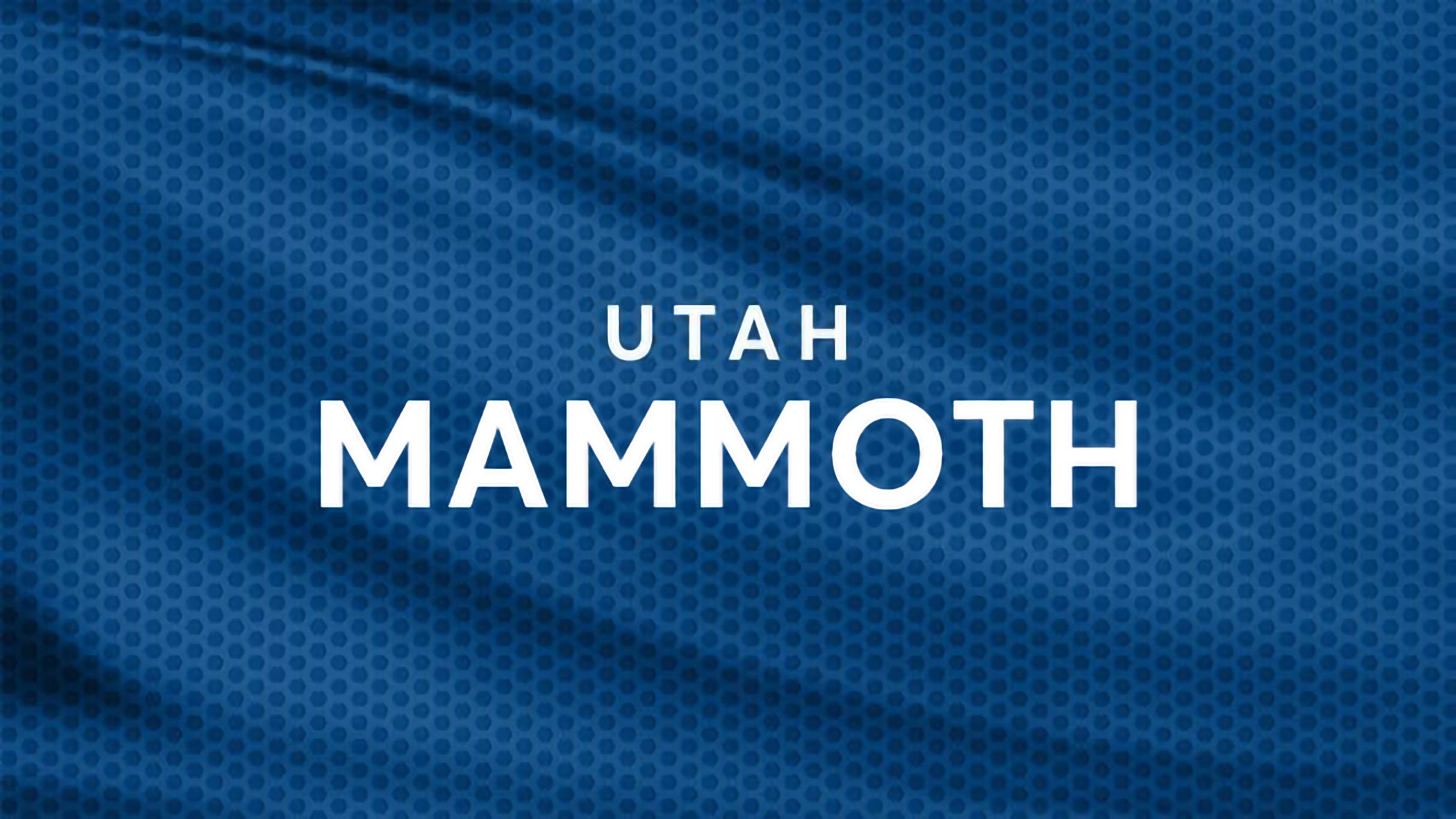 Utah Mammoth vs. Toronto Maple Leafs at Delta Center – Salt Lake City,