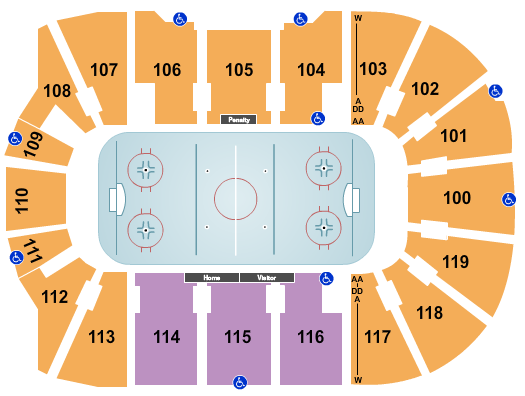Bridgeport Islanders vs. Providence Bruins at Total Mortgage Arena – Bridgeport,