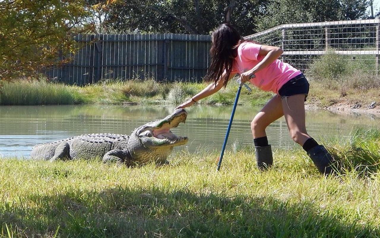 Book Tickets for From Houston: Crocodile Encounter Entry Ticket: From Houston: Crocodile Encounter Entry Ticket - Texas