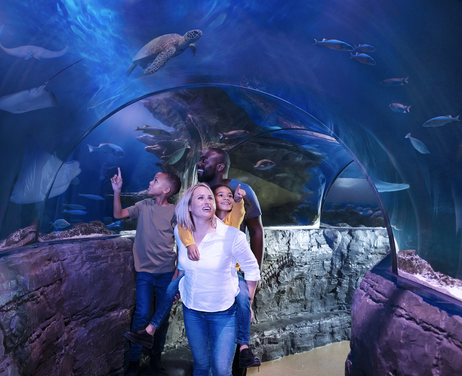 Book Tickets for Grapevine: SEA LIFE Grapevine Aquarium General Admission: Grapevine: SEA LIFE Grapevine Aquarium General Admission - Texas