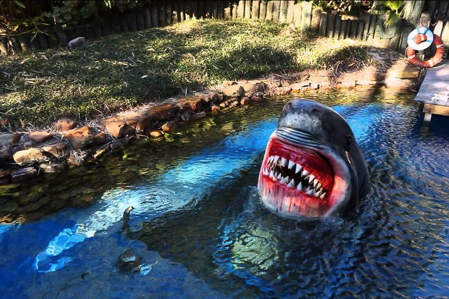 Book Tickets for Houston Tour and Aquarium Ticket: Houston Tour and Aquarium Ticket - Texas
