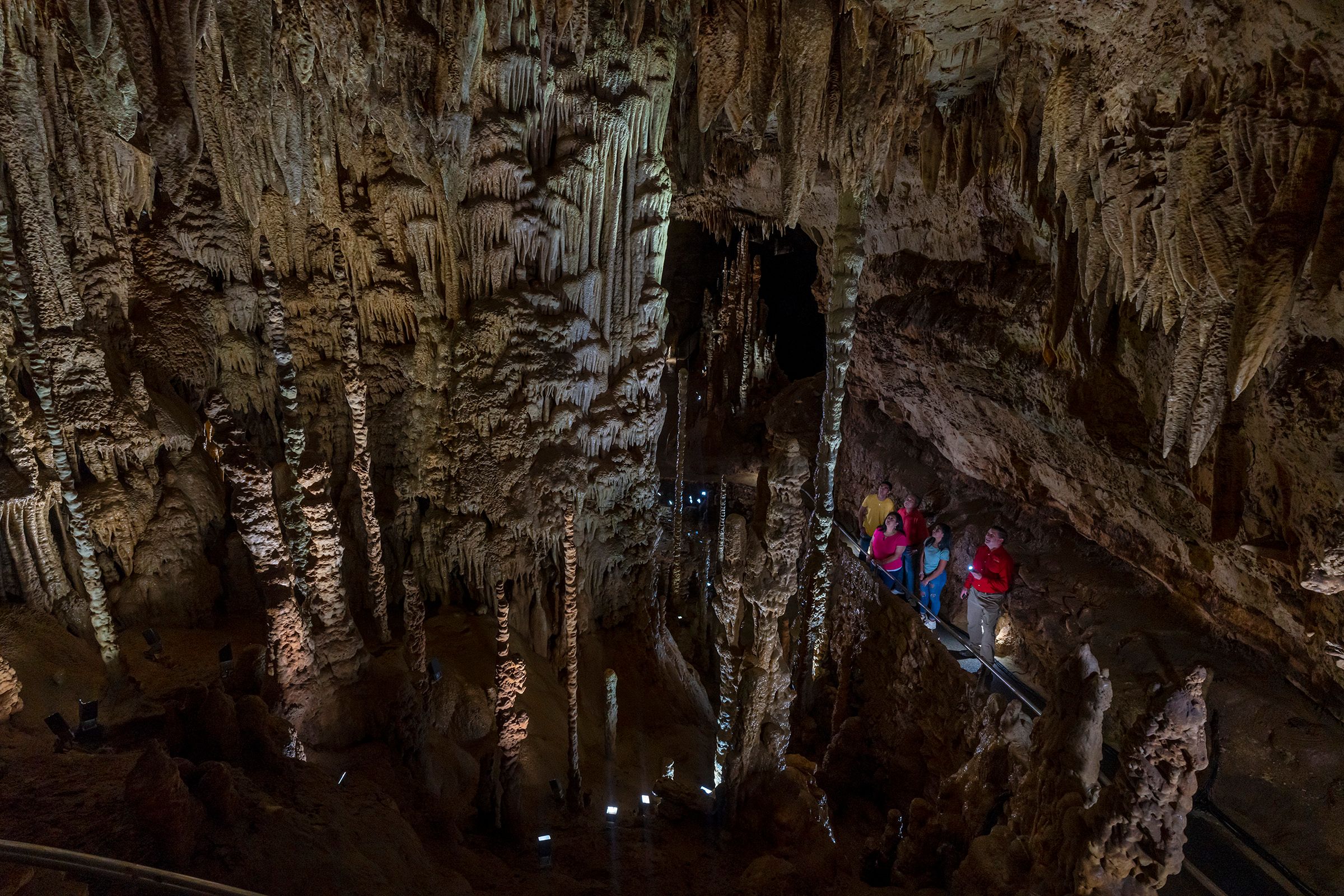 Book Tickets for San Antonio: Discovery Tour at Natural Bridge Caverns: San Antonio: Discovery Tour at Natural Bridge Caverns - Texas