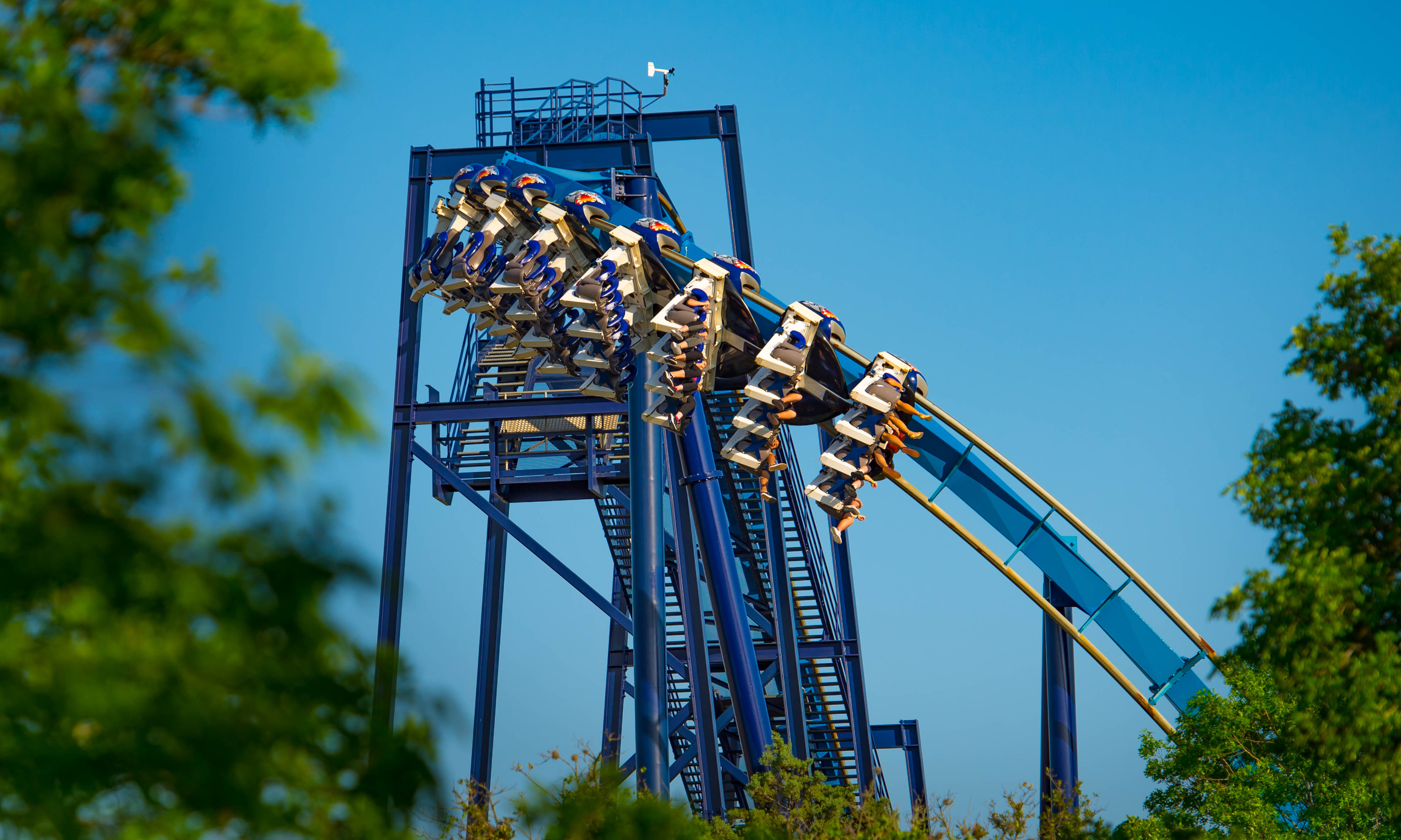 Book Tickets for San Antonio: SeaWorld Skip-the-Line Park Admission Ticket: San Antonio: SeaWorld Skip-the-Line Park Admission Ticket - Texas