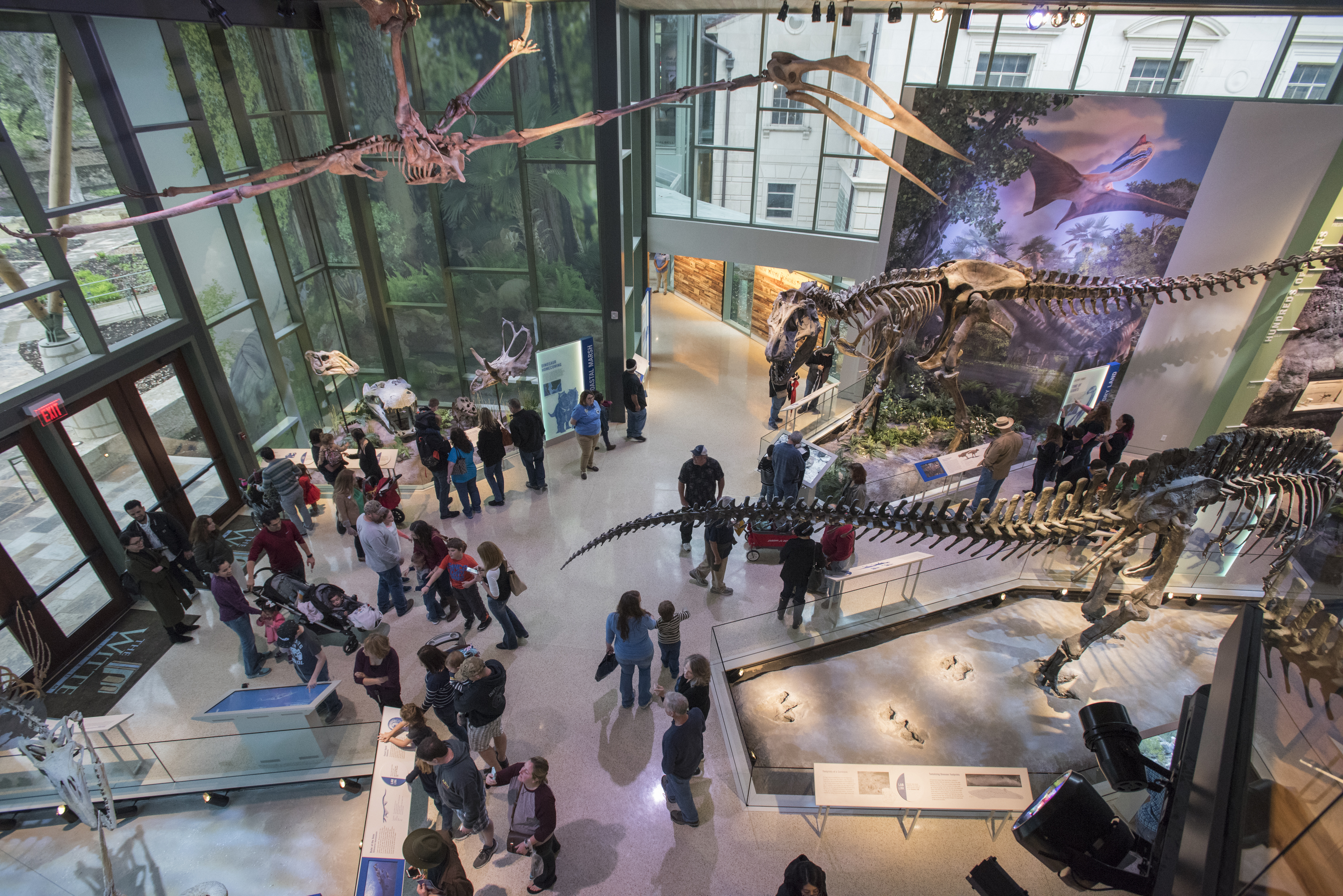 Book Tickets for San Antonio: Witte Museum Admission Ticket: San Antonio: Witte Museum Admission Ticket - Texas