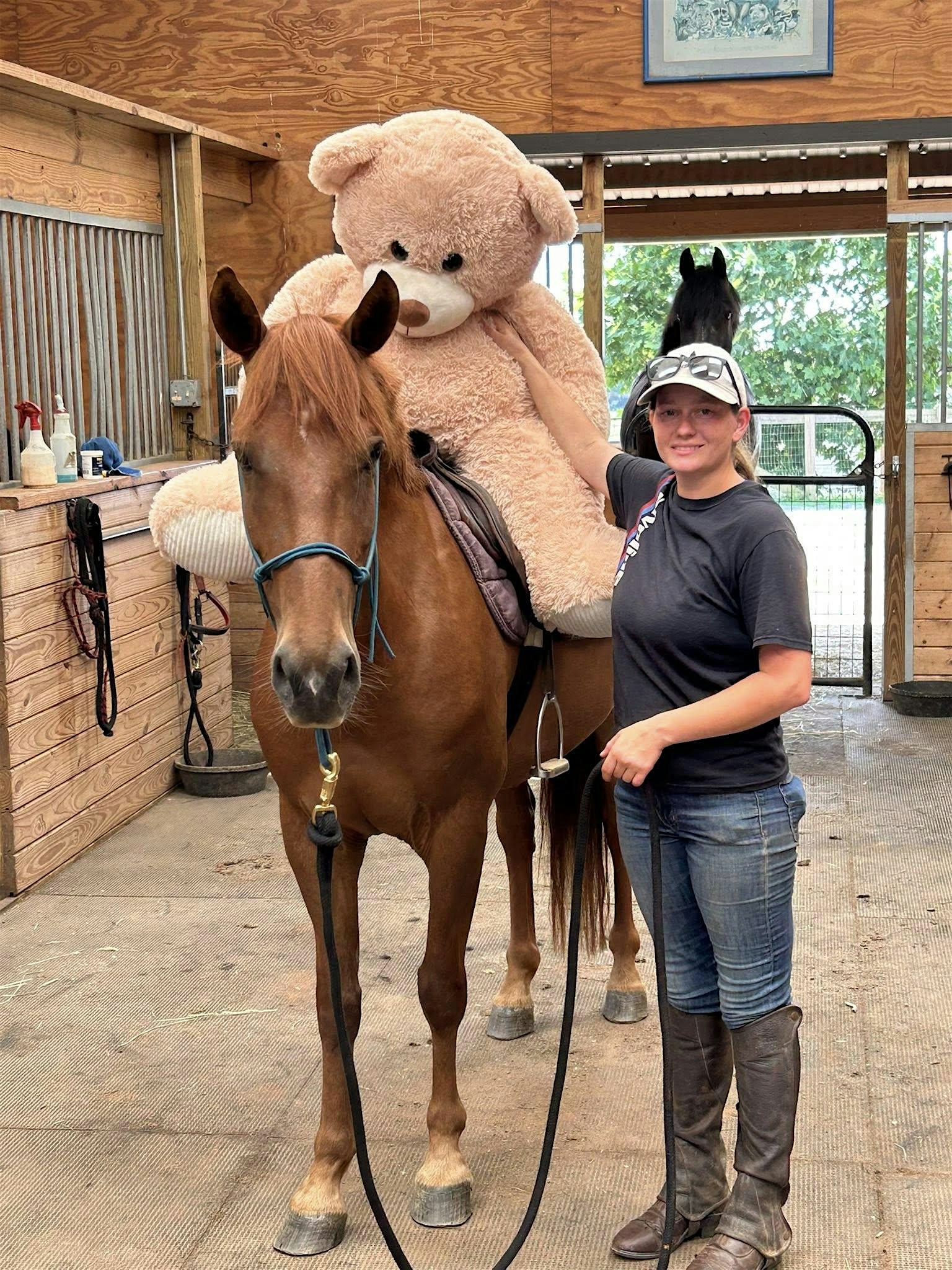 Cool Off with Friends at the REIN Rescue Summer Expo at Foothills Equestrian Nature Center (FENCE) – Tryon, NC