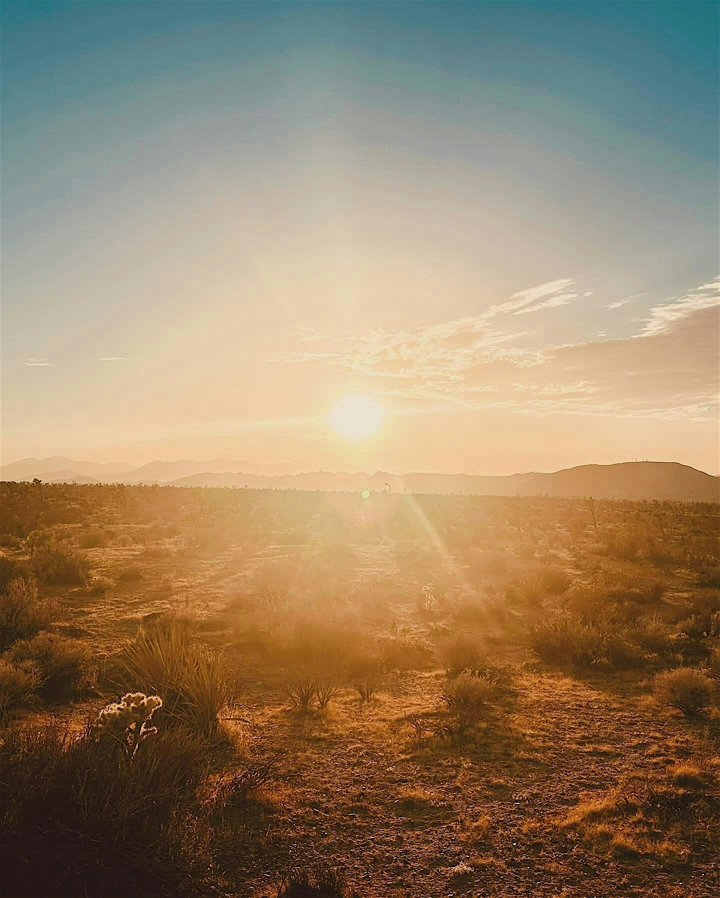 Dusty to Dewy – Skincare for the Desert Life at XēBA BOTáNICA – Pioneertown, CA