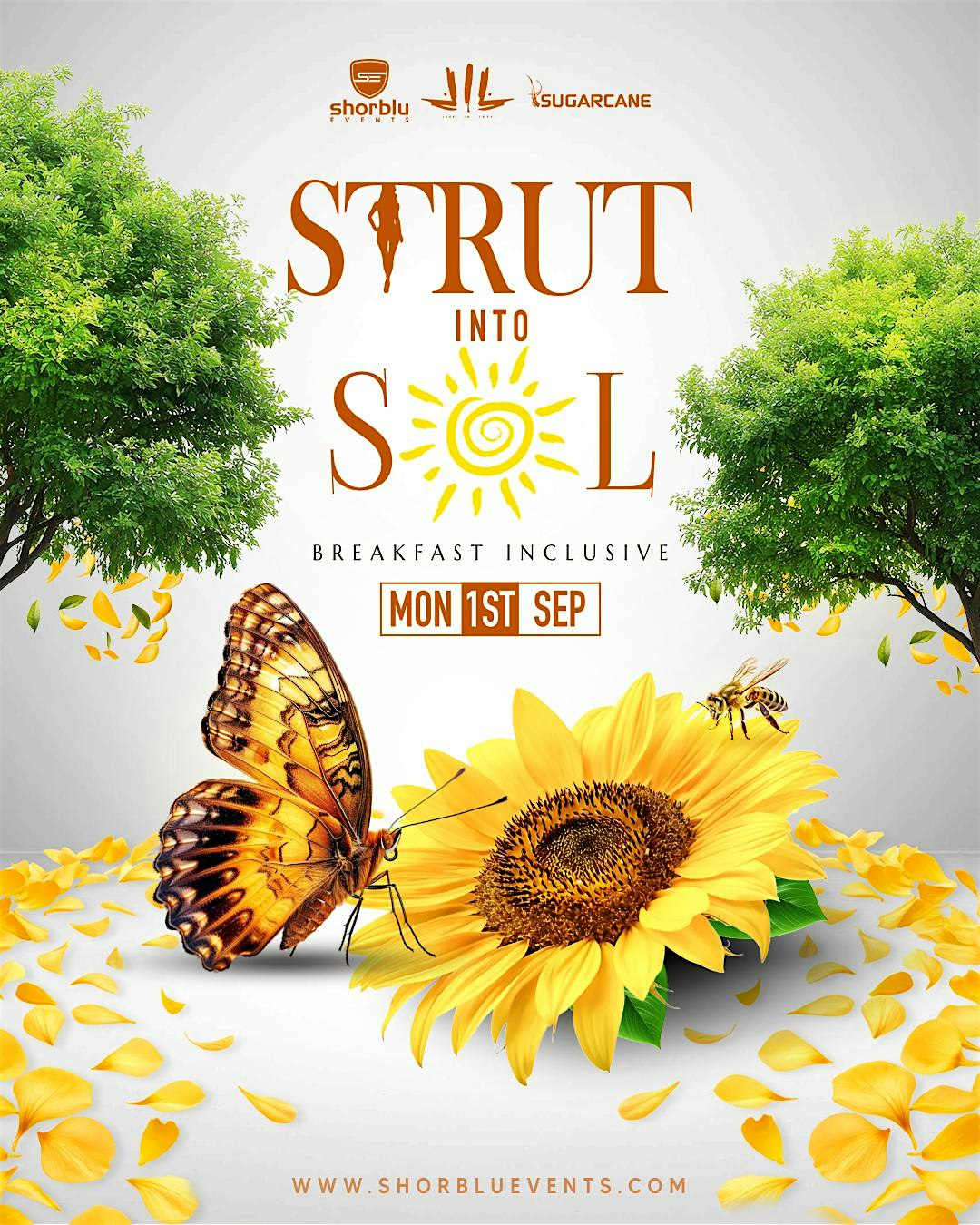 STRUT into SOL at Bk Backyard Bar – Brooklyn, NY