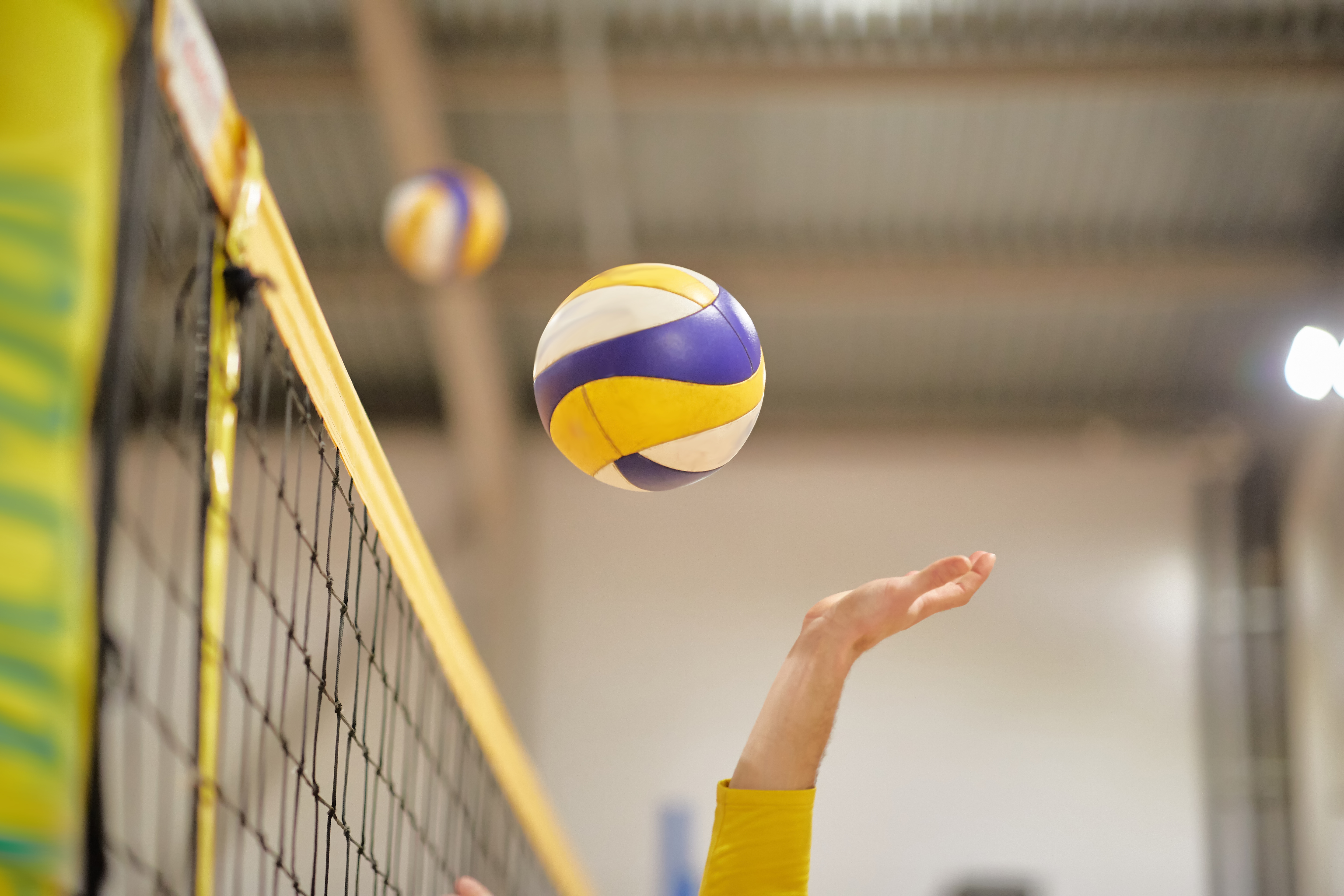South Dakota State Jackrabbits at Minnesota Golden Gophers Womens Volleyball at Maturi Pavilion – Minneapolis, MN