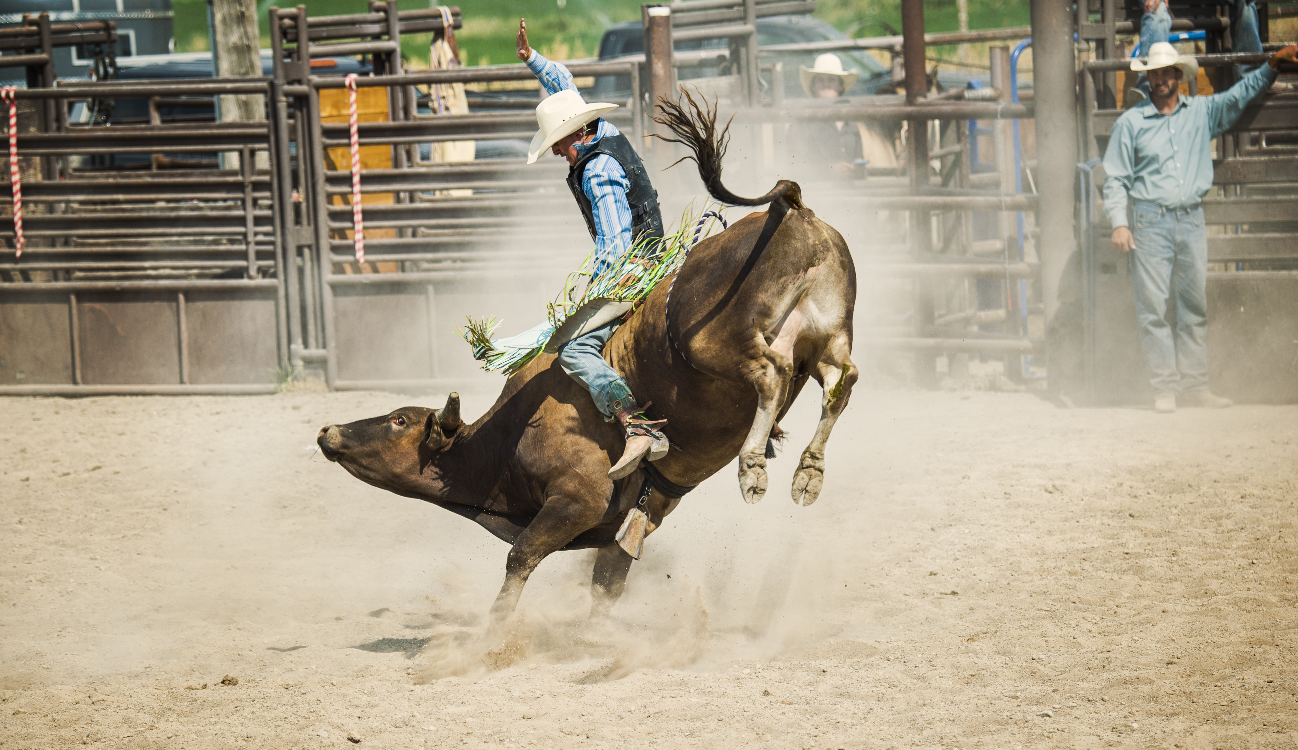 Fort Worth Stock Show and Rodeo at Dickies Arena – Fort Worth, TX
