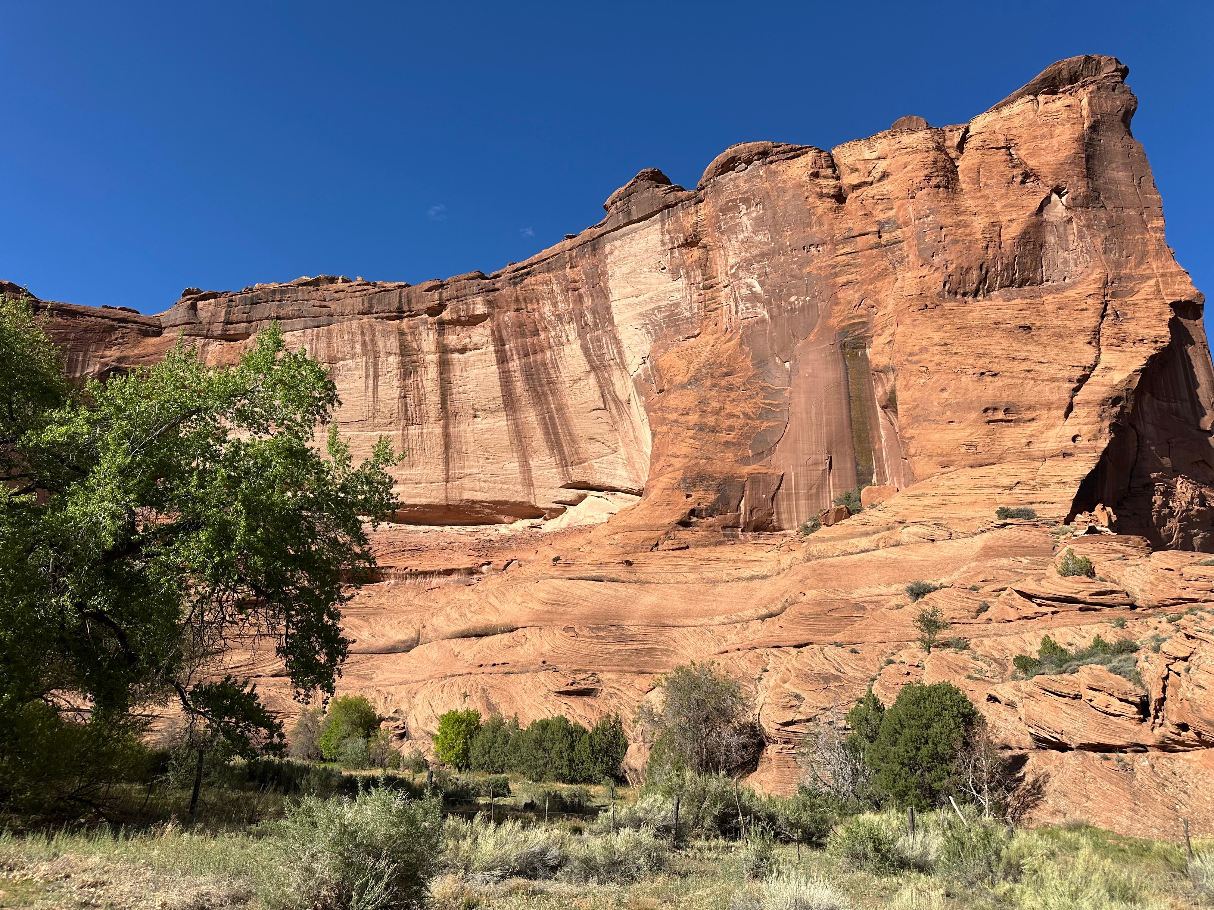 Book Tickets for Canyon de Chelly: National Monument Tour: Chinle