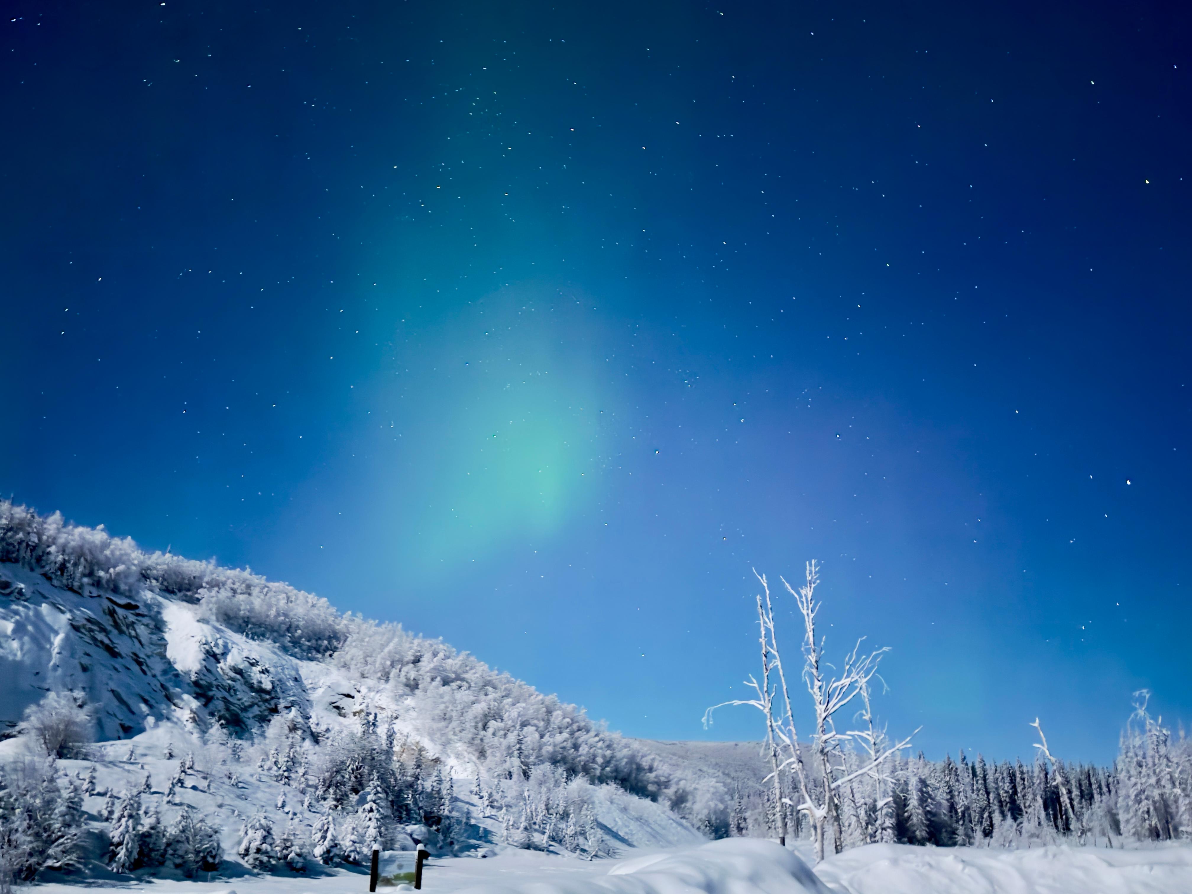 Book Tickets for Fairbanks: Northern Lights and Chena Hot Springs Tour: Fairbanks