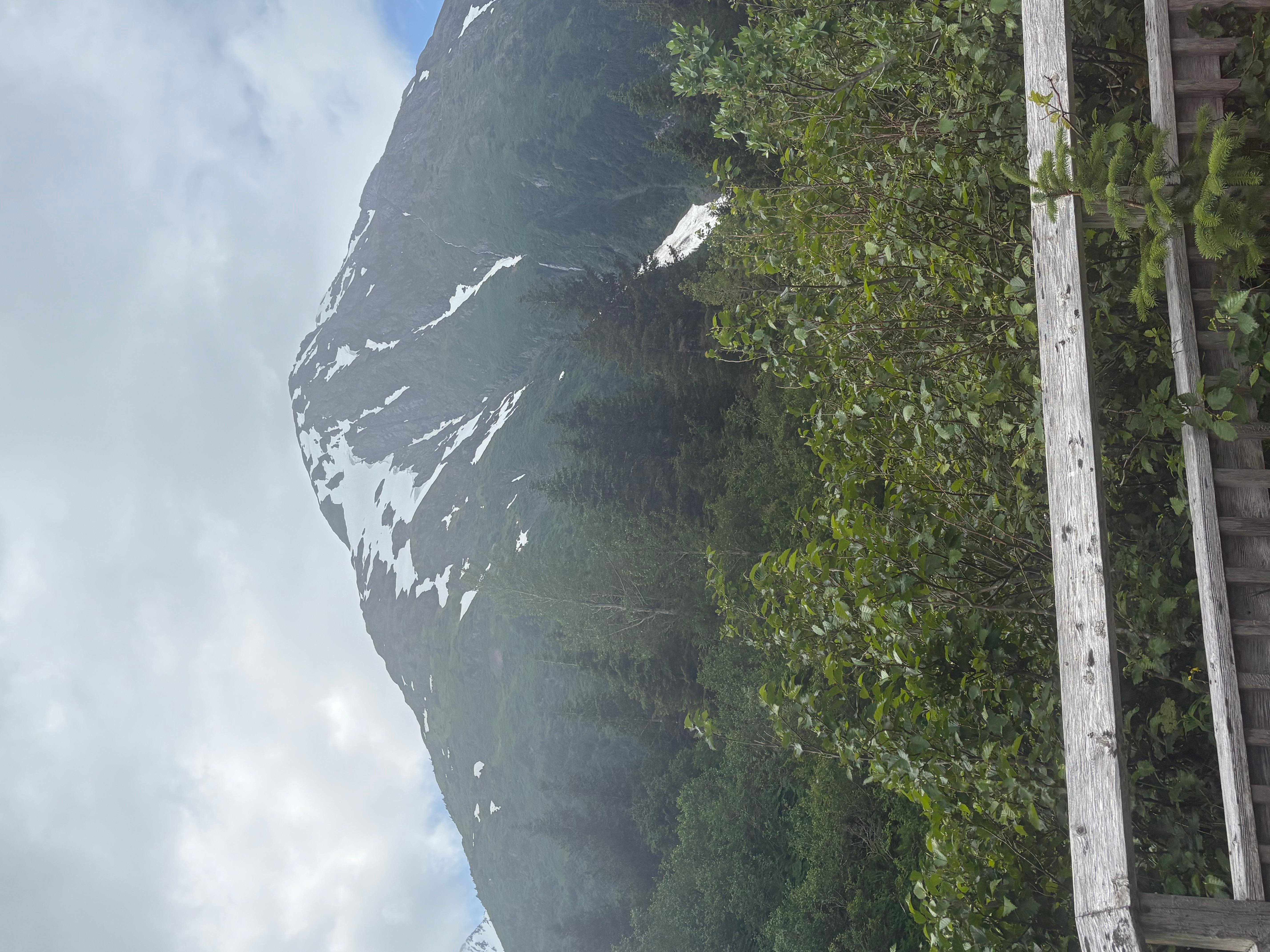 Book Tickets for From Anchorage: Alaska Wildlife Center & Turnagain Arm Tour: Anchorage