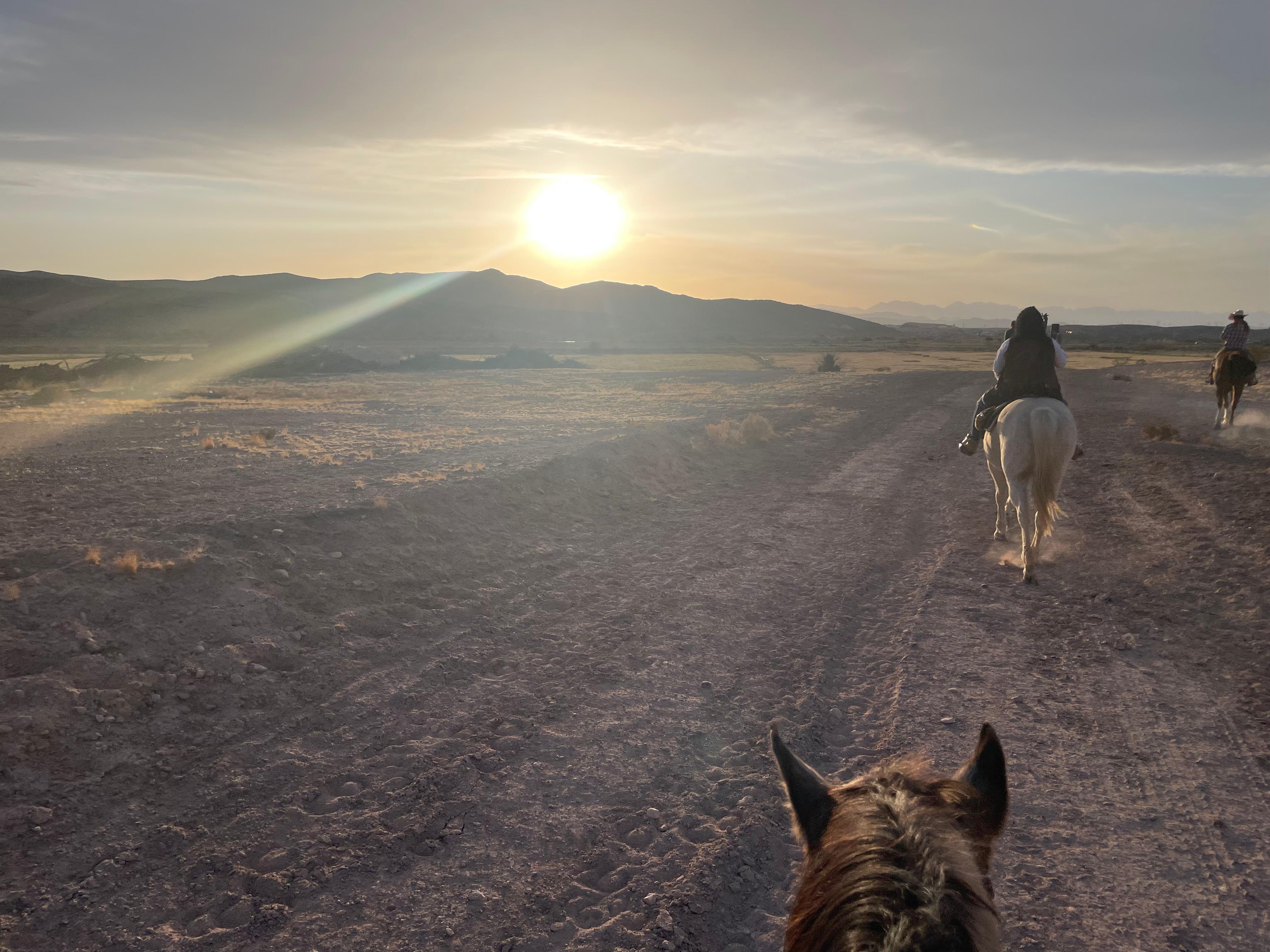 Book Tickets for From Las Vegas: Desert Sunset Horseback Ride with BBQ Dinner: Las Vegas