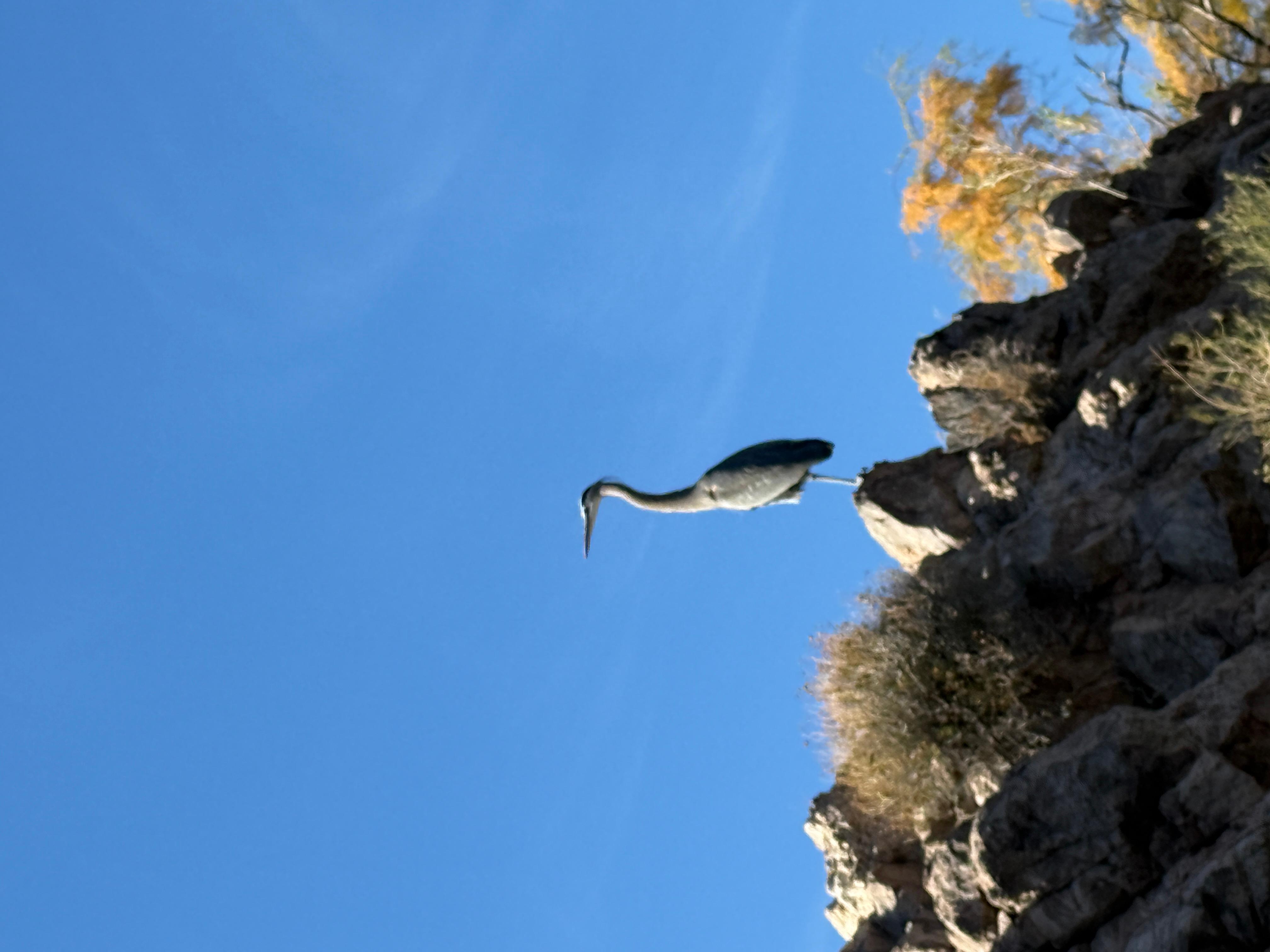 Book Tickets for From Las Vegas: Emerald Cave Guided Kayaking Tour: Emerald Cave
