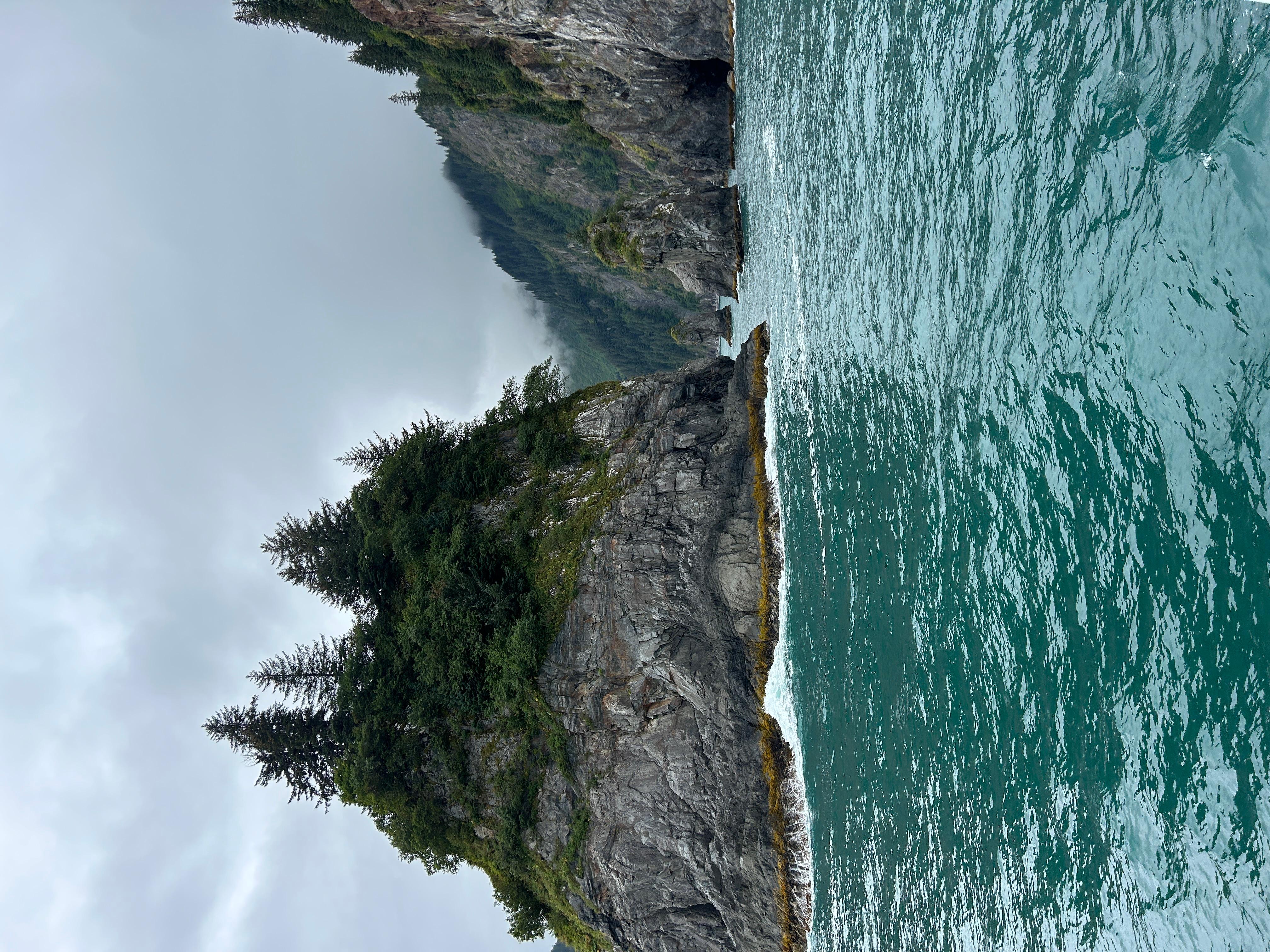 Book Tickets for From Seward: Half-Day Resurrection Bay Wildlife Cruise Tour: Seward