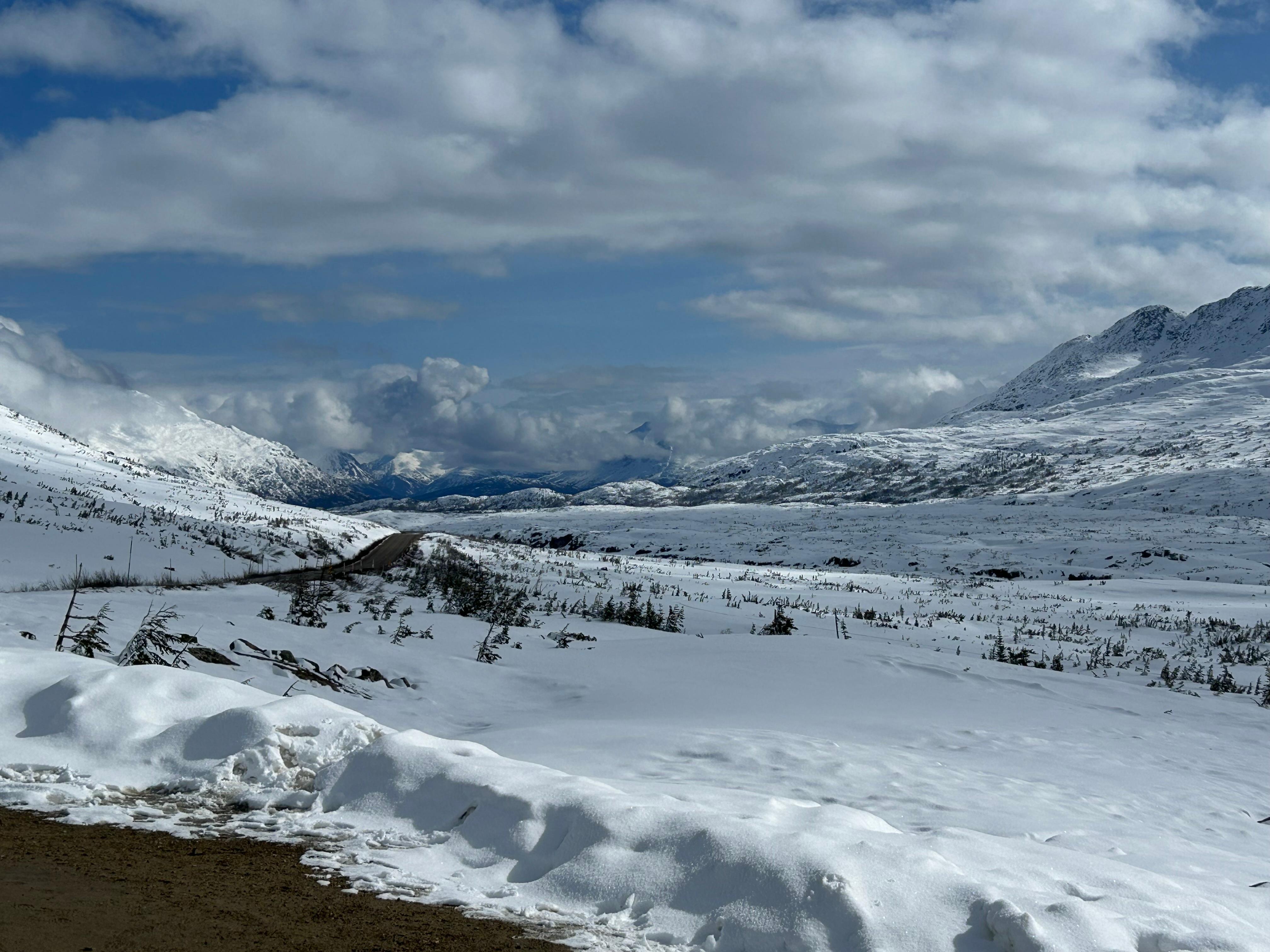 Book Tickets for From Skagway: White Pass Summit Guided Bus Tour: Alaska