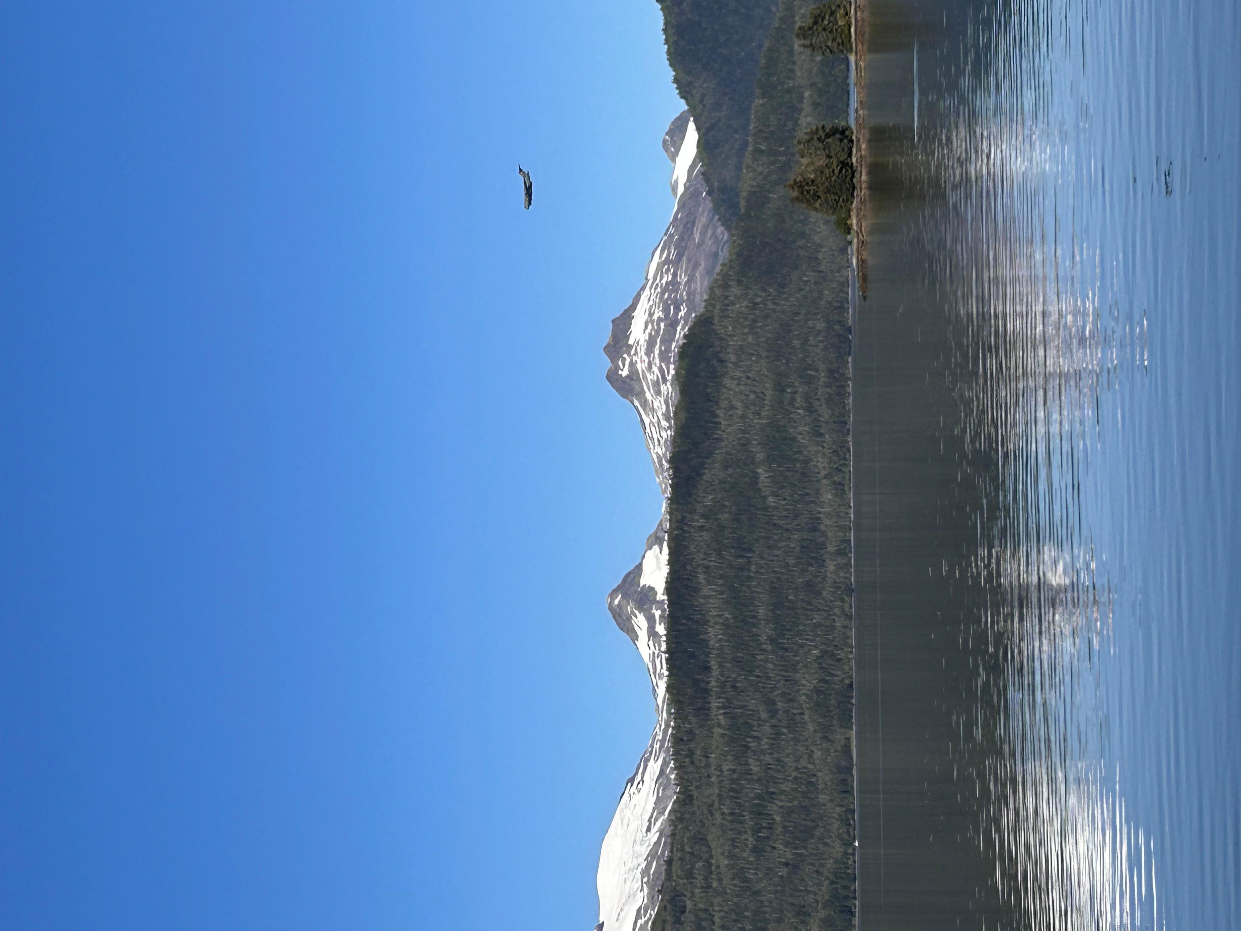 Book Tickets for From Valdez: 7.5-hour Meares Glacier & Wildlife Cruise: Alaska