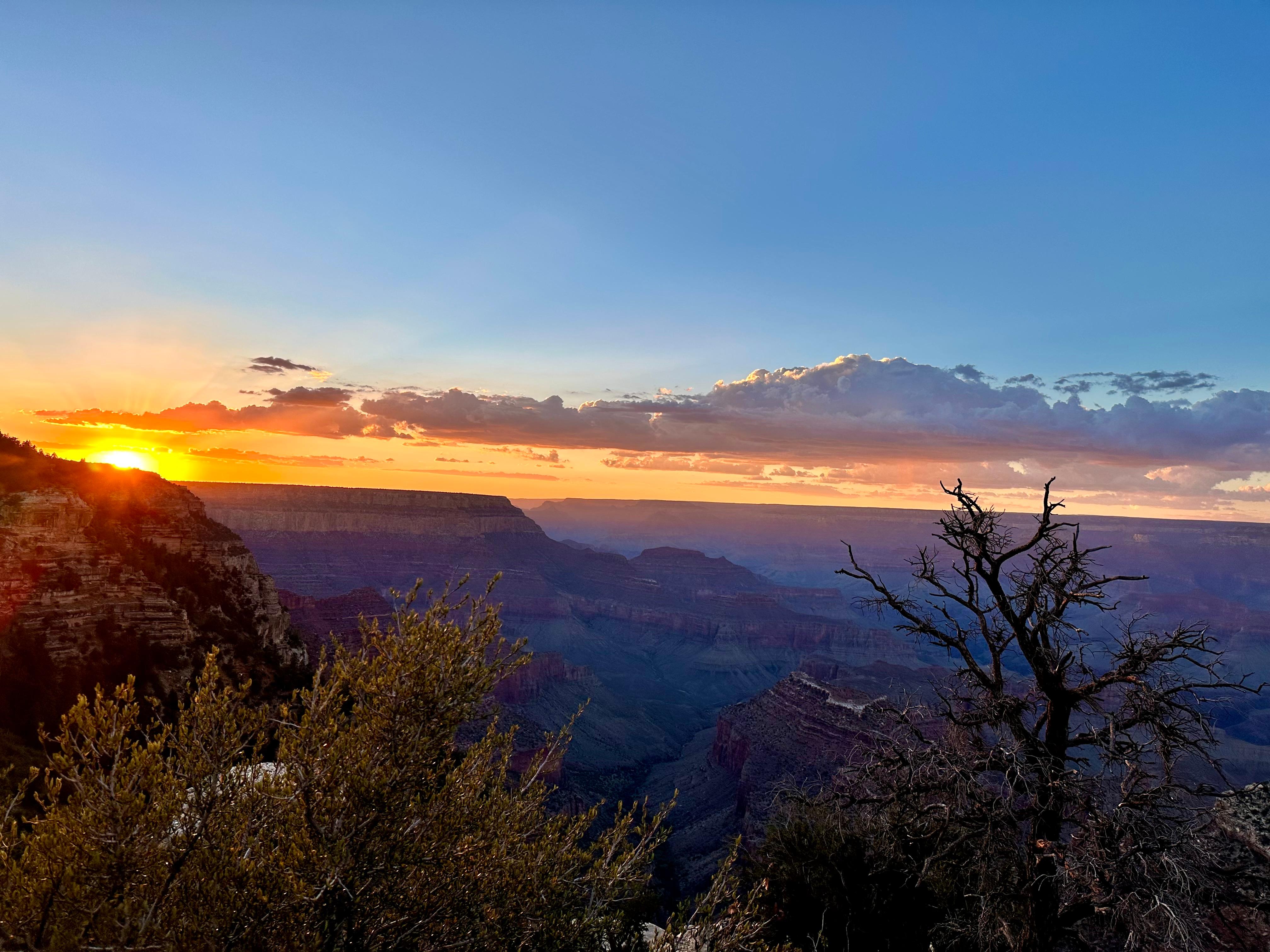 Book Tickets for Grand Canyon: Off-Road Sunset Safari with Skip-the-Gate Tour: Kaibab National Forest