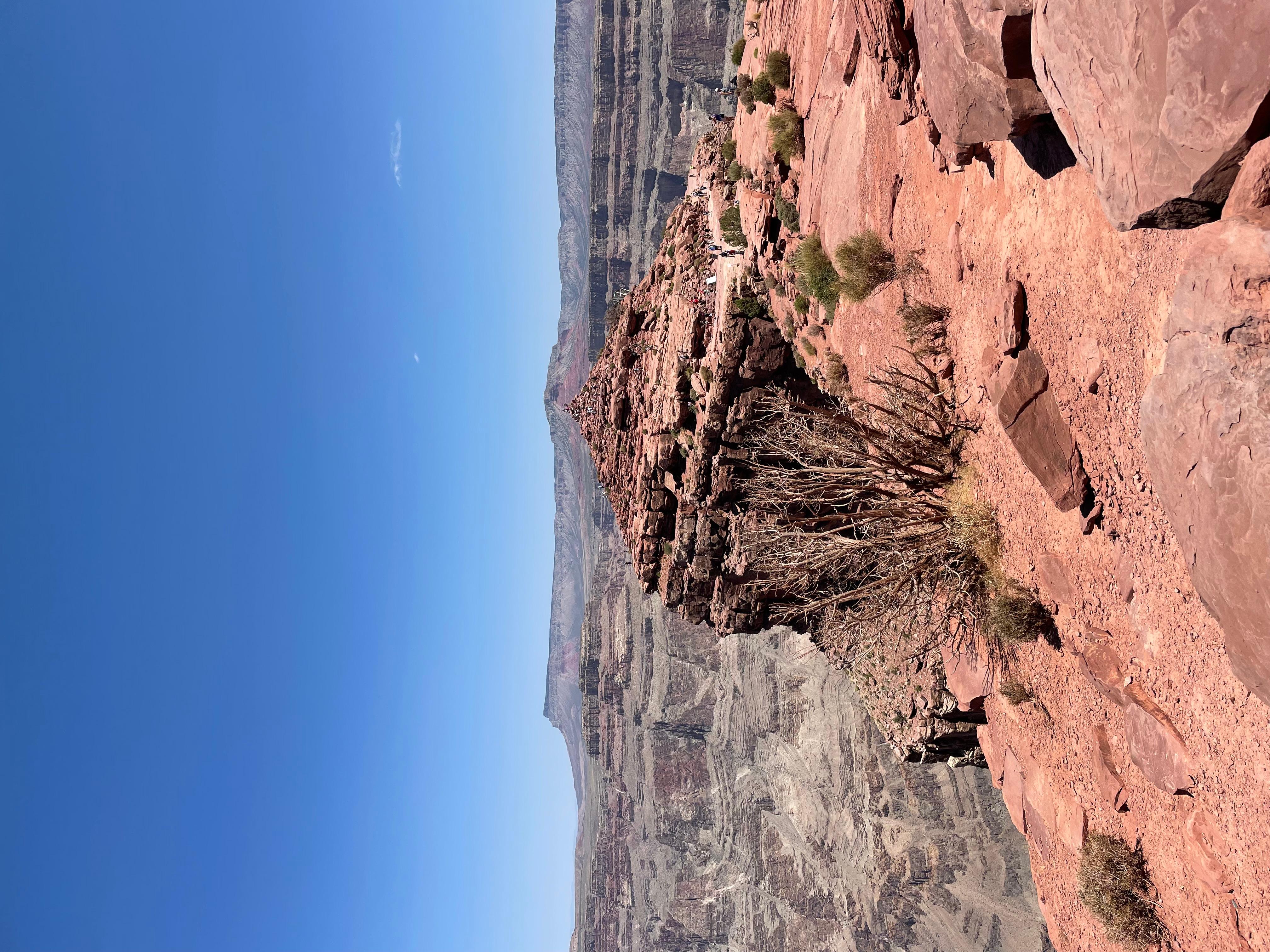 Book Tickets for Las Vegas: Grand Canyon Flight with Optional Skywalk Entry: Grand Canyon West Rim