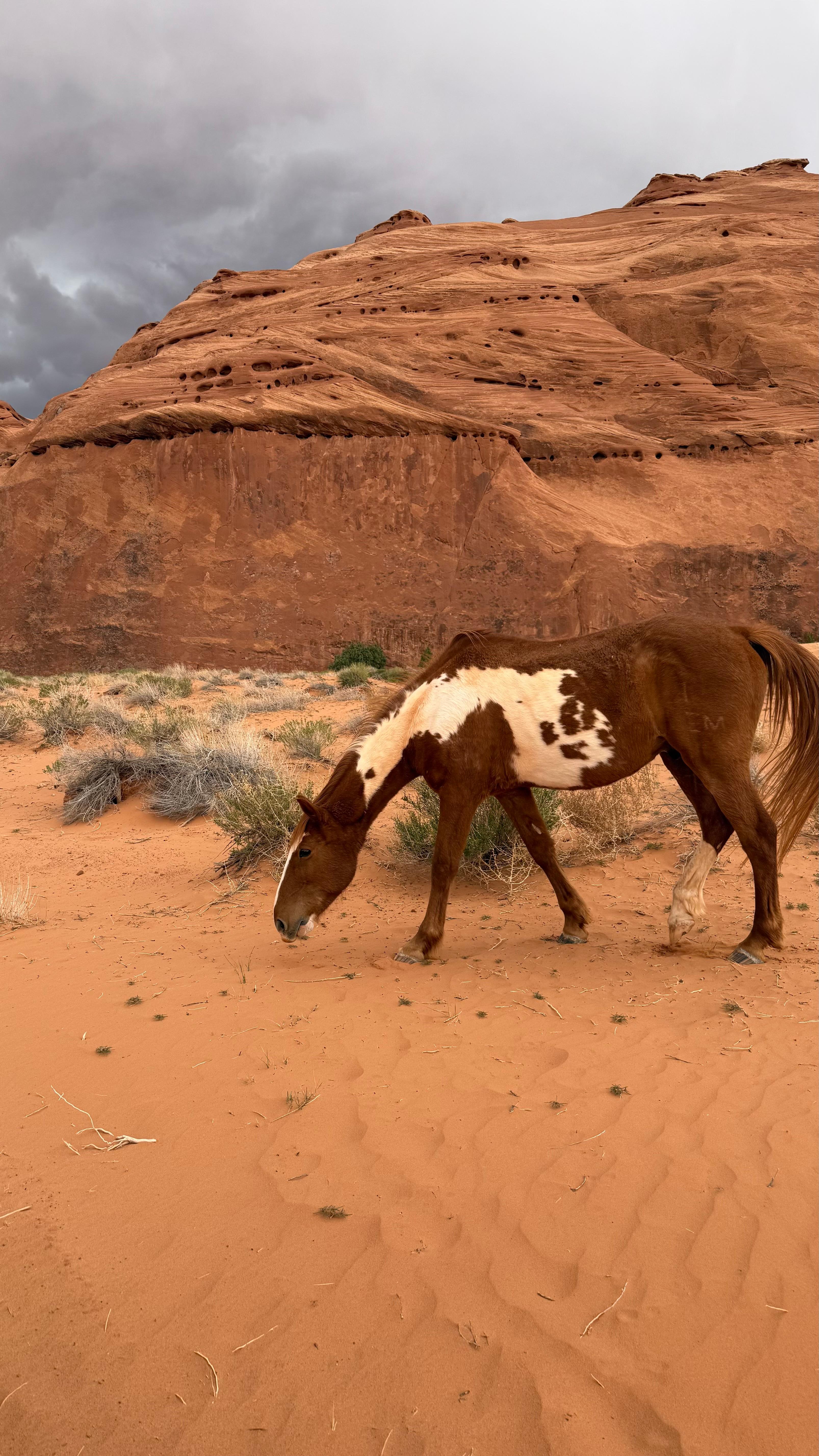 Book Tickets for Monument Valley: Scenic Loop Drive Tour with Navajo Guide: Mystery Valley