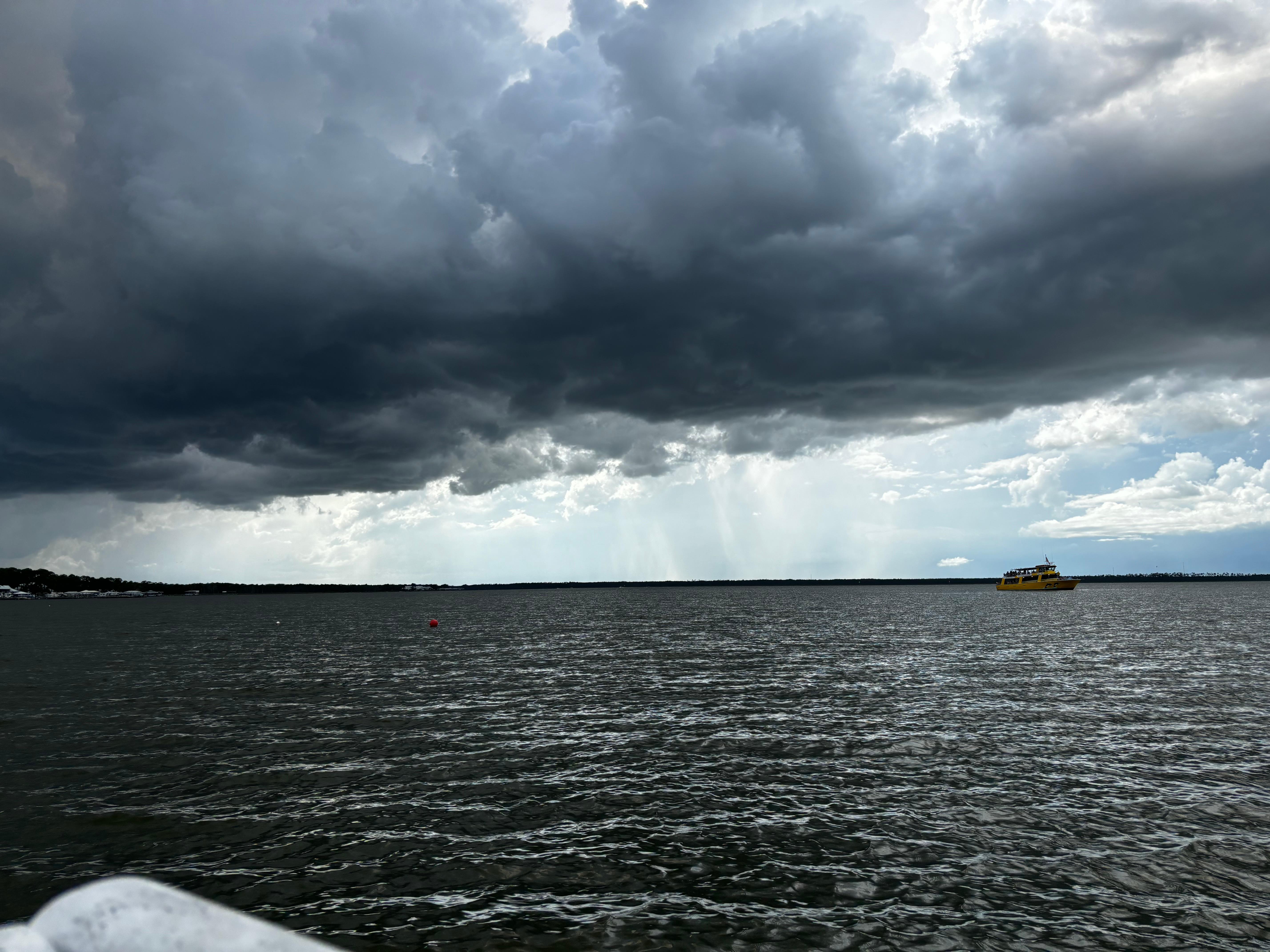 Book Tickets for Orange Beach: Dolphin-Watching Eco-Boat Tour: Orange Beach