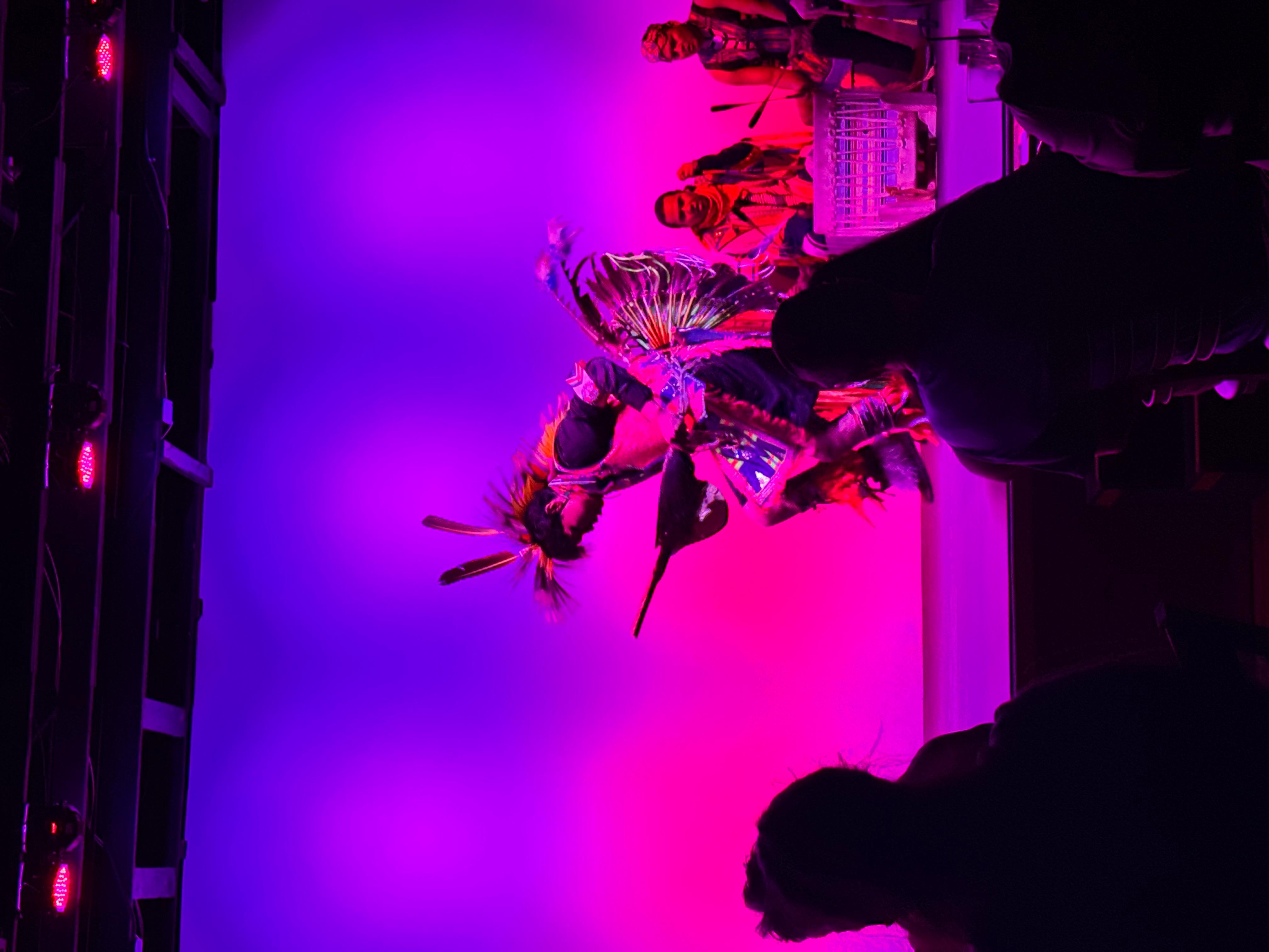 Book Tickets for Page: Native American Dinner and Dance Show: Page